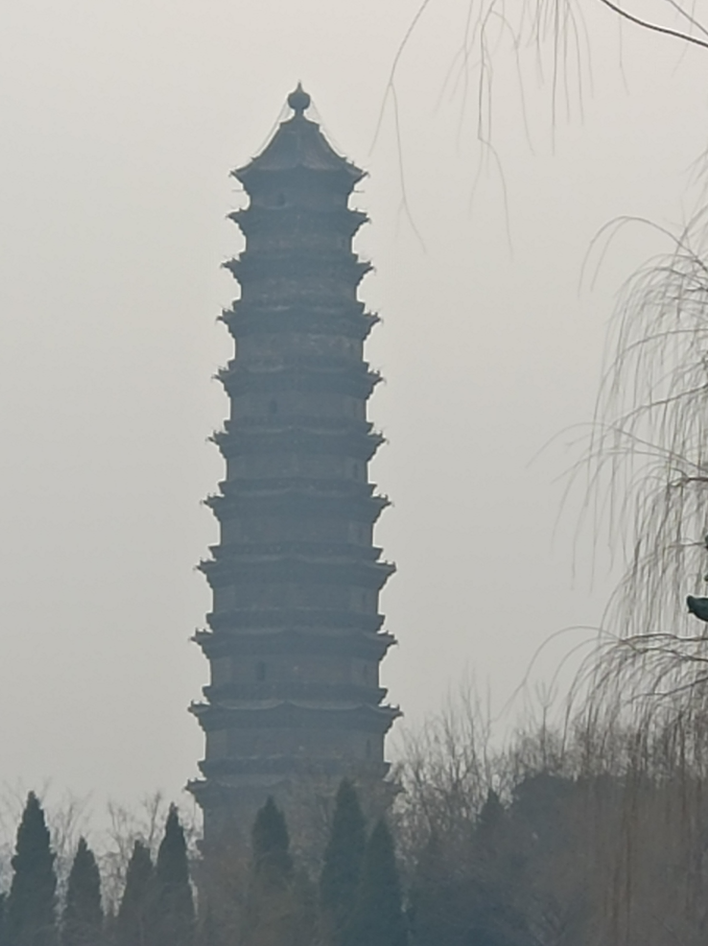 开封国家森林公园旅行图片