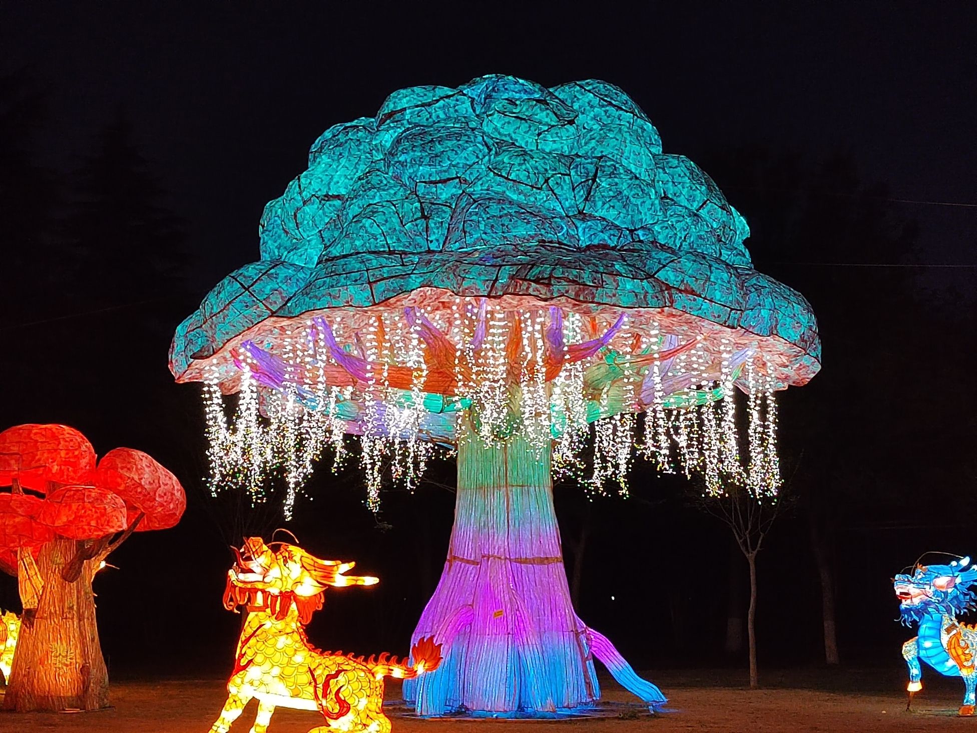神州牡丹园旅行图片