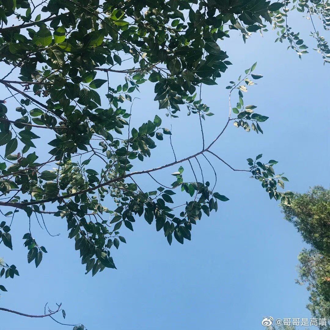 虎头山生态公园旅行图片