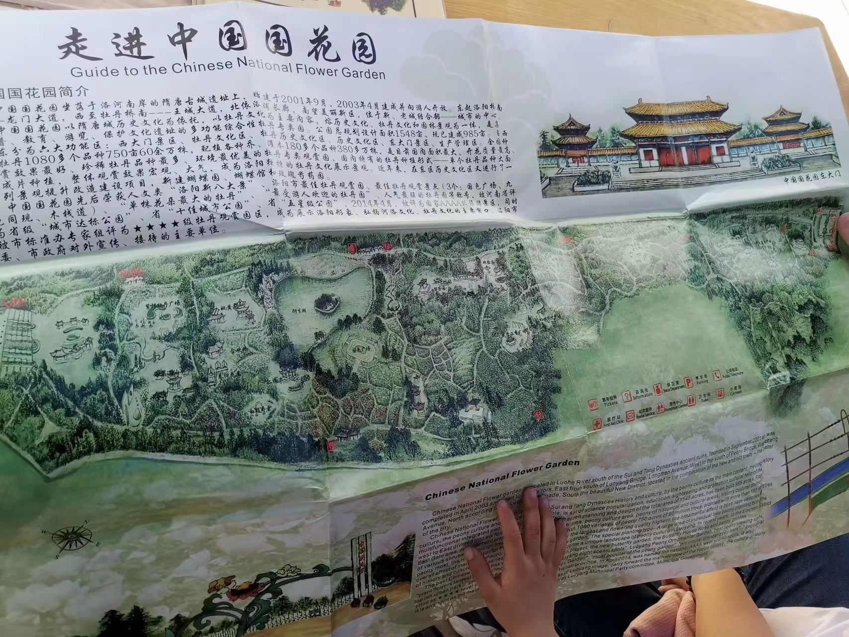 中国国花园