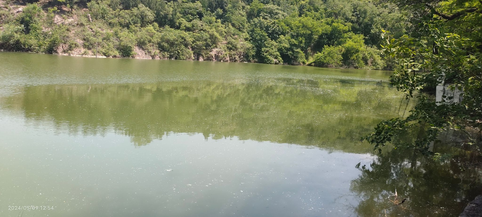 河南省双龙山省级森林公园旅行图片
