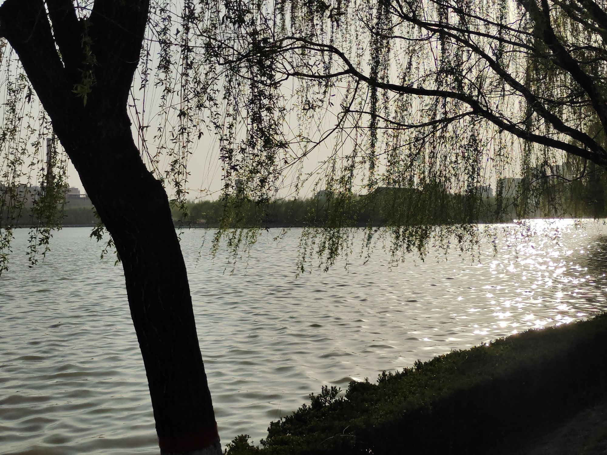 龙源湖公园