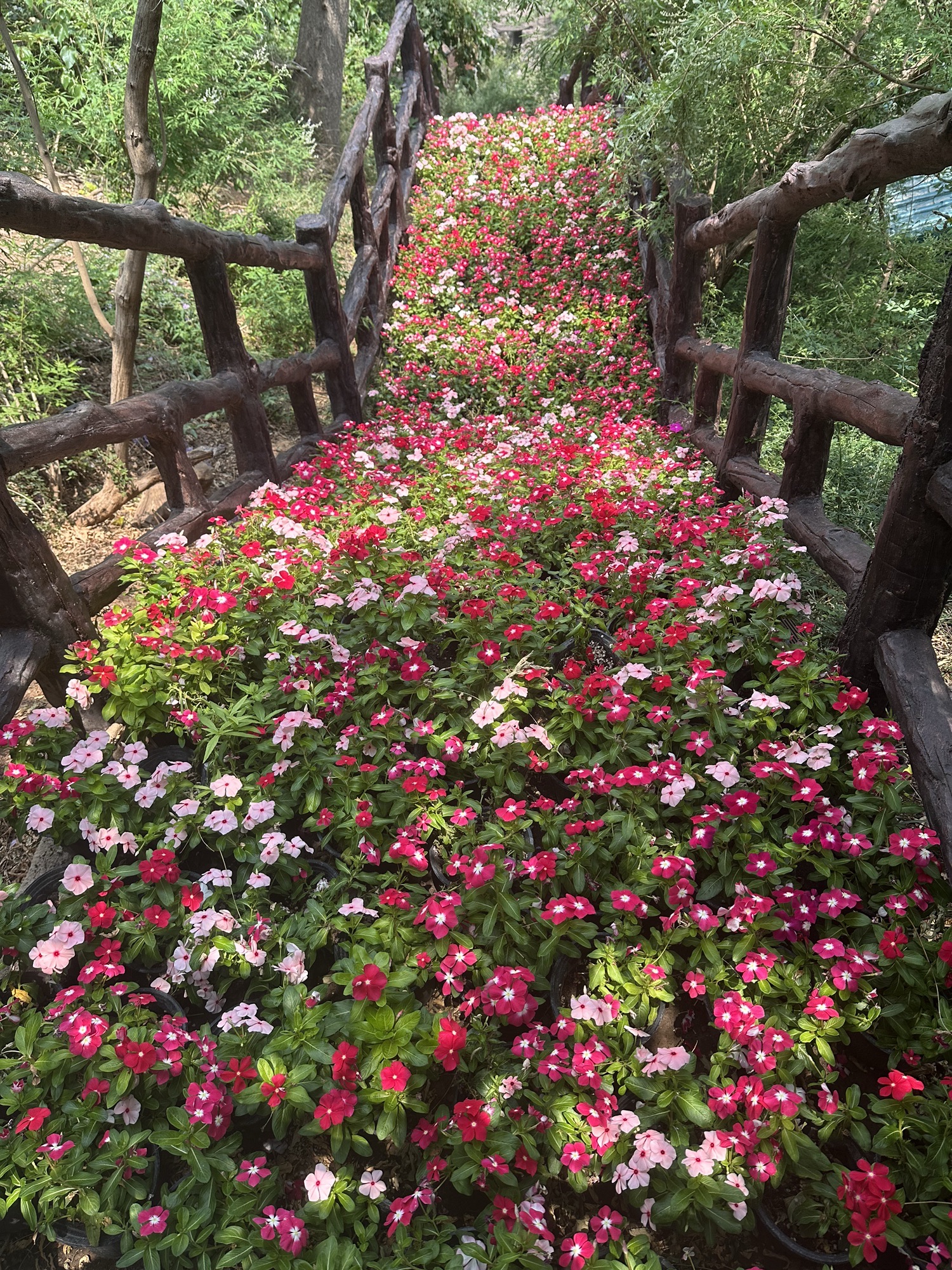 焦作云台山风景名胜区旅行图片