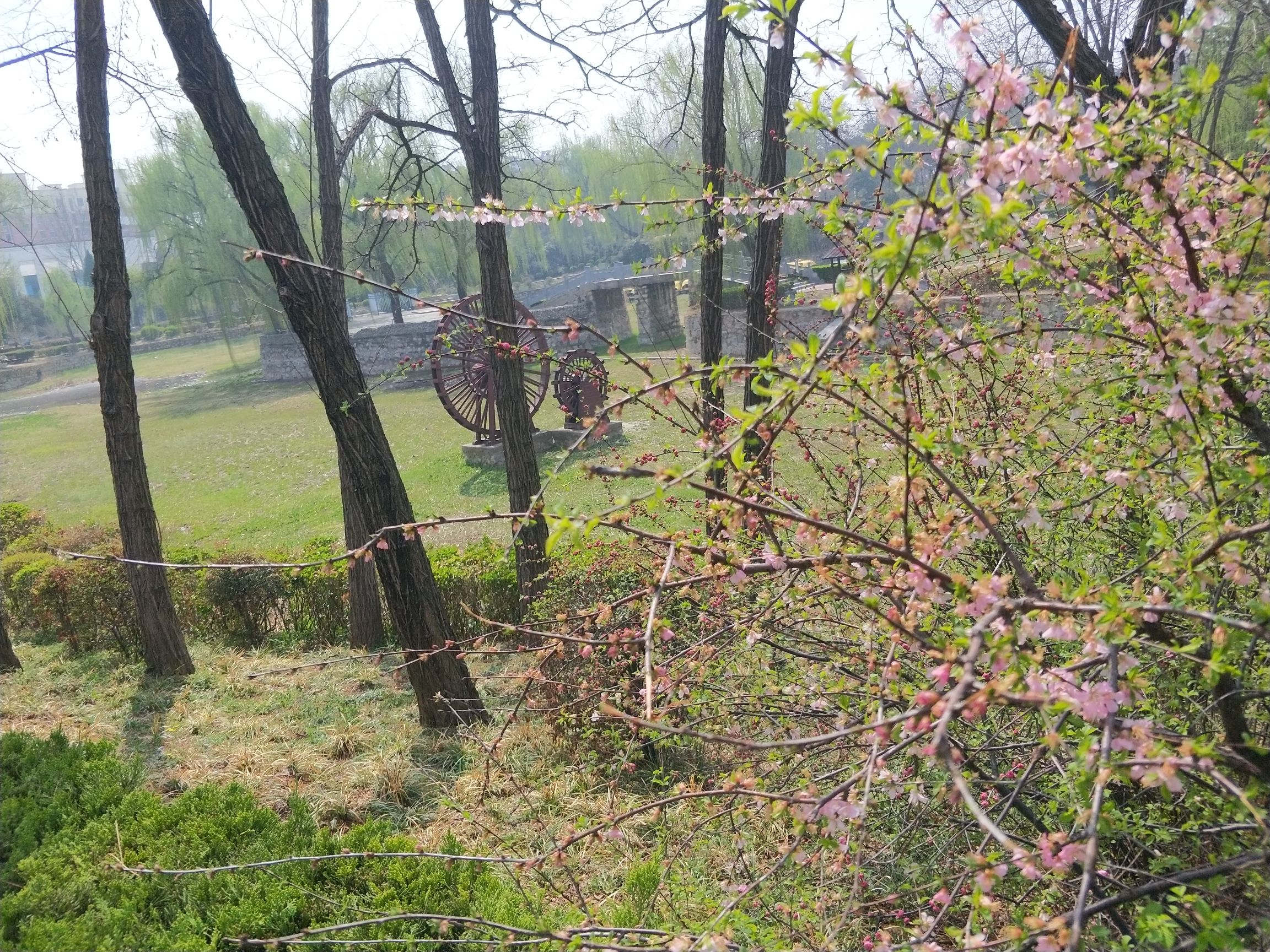 枫岭公园旅行图片