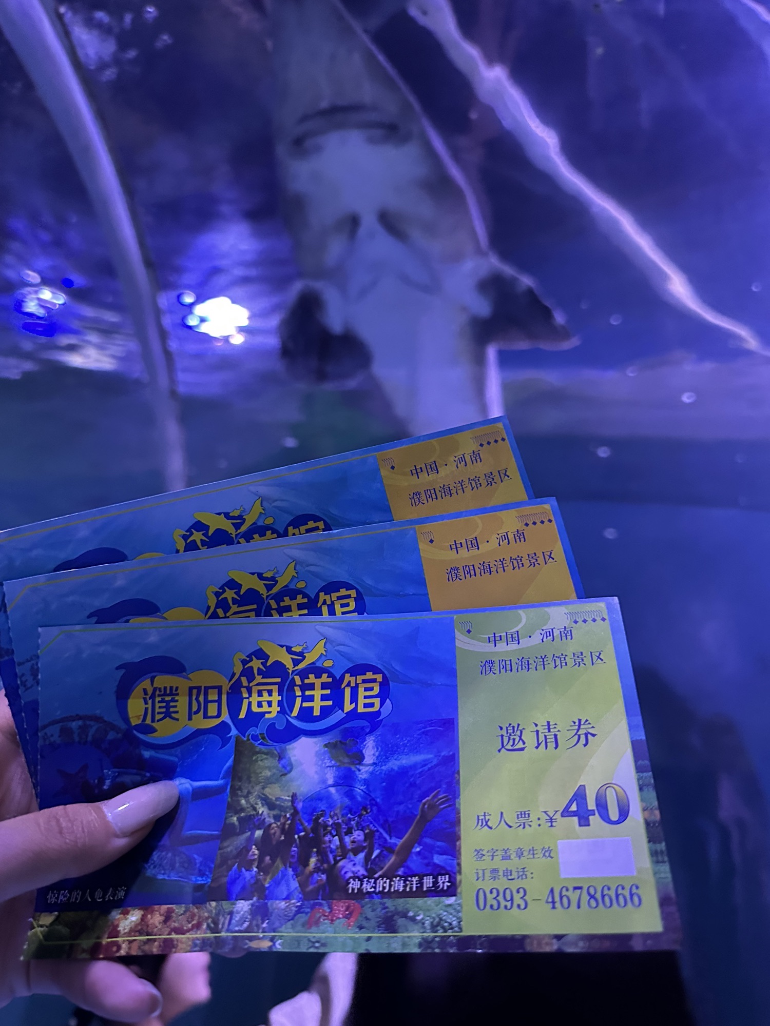 濮阳海洋馆