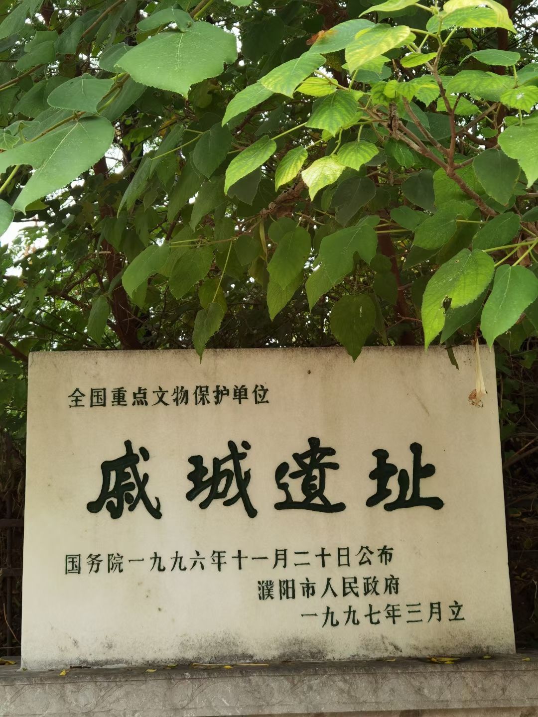 戚城文物景区-戚城遗址旅行图片
