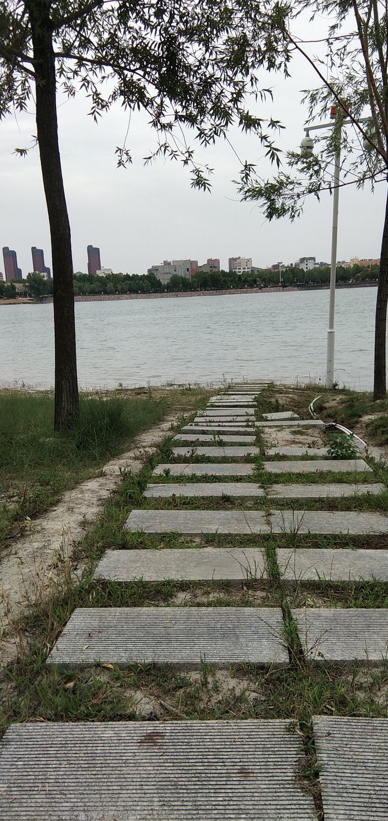 郸城县人民公园旅行图片