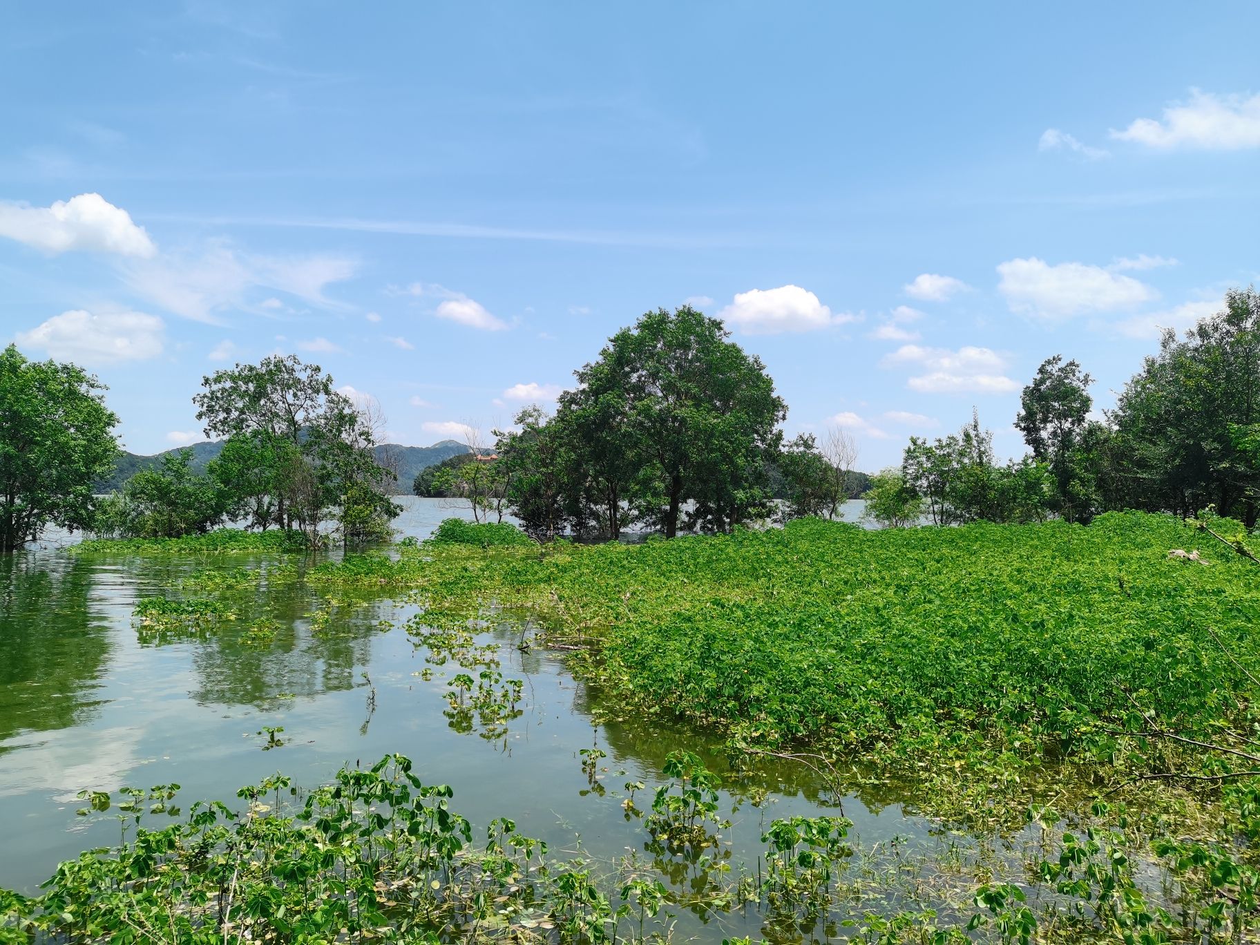 薄山湖风景区