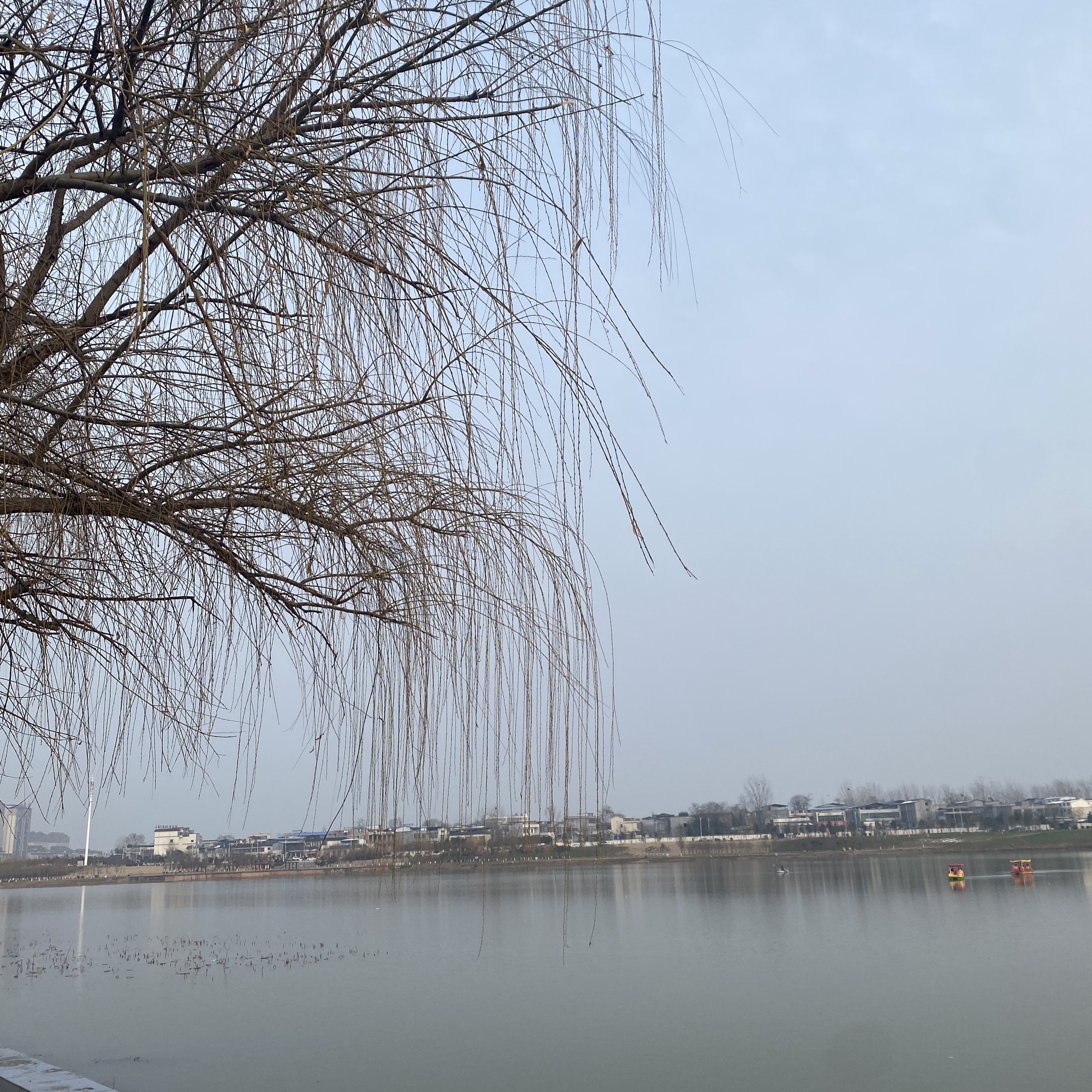 泌水湖公园