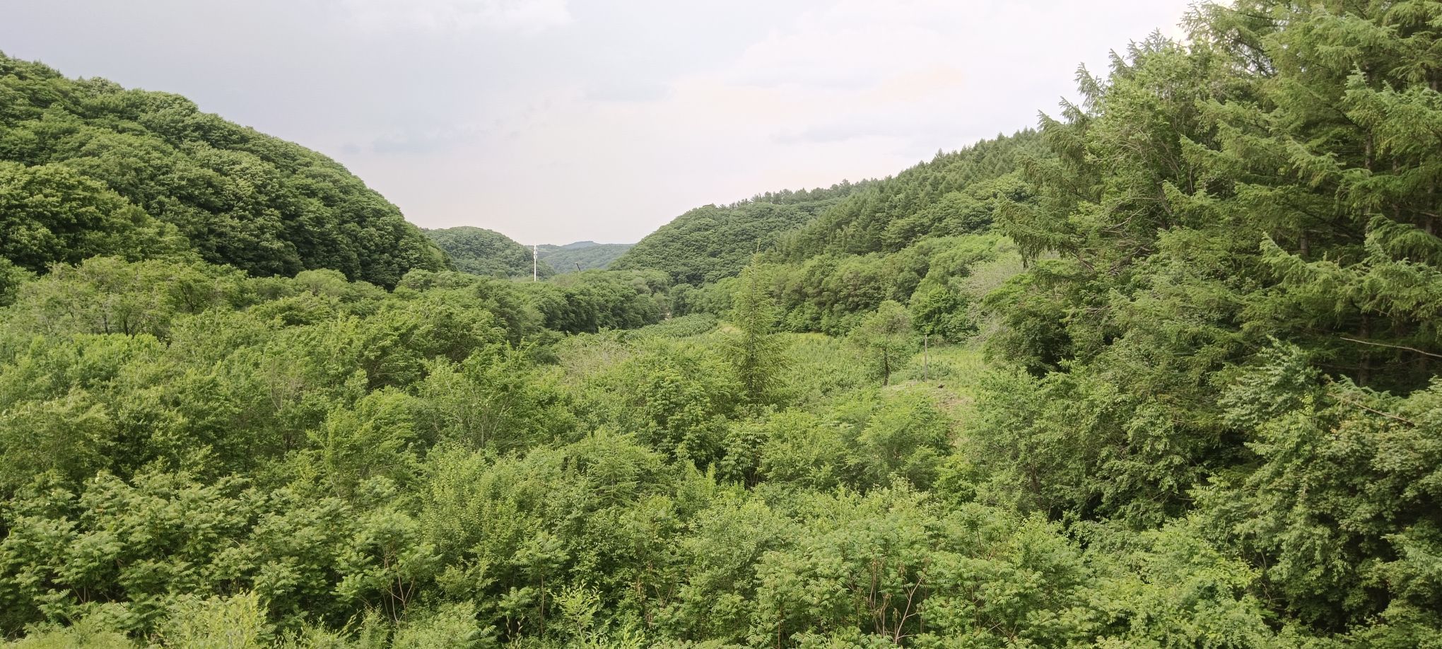 冰砬山国家森林公园