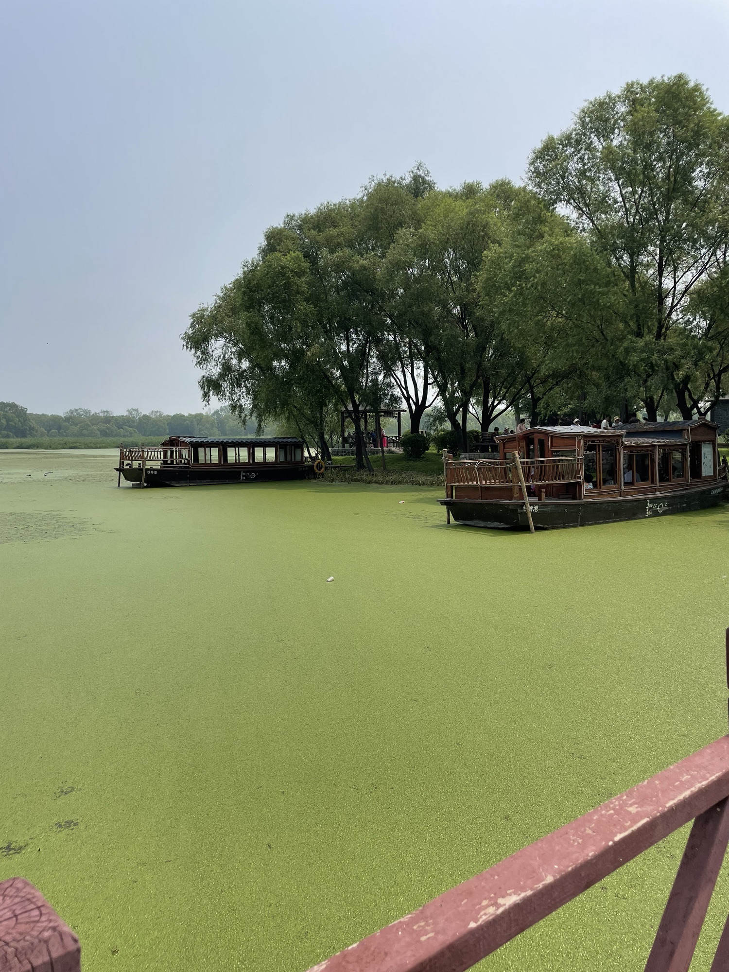 莲花湖湿地公园