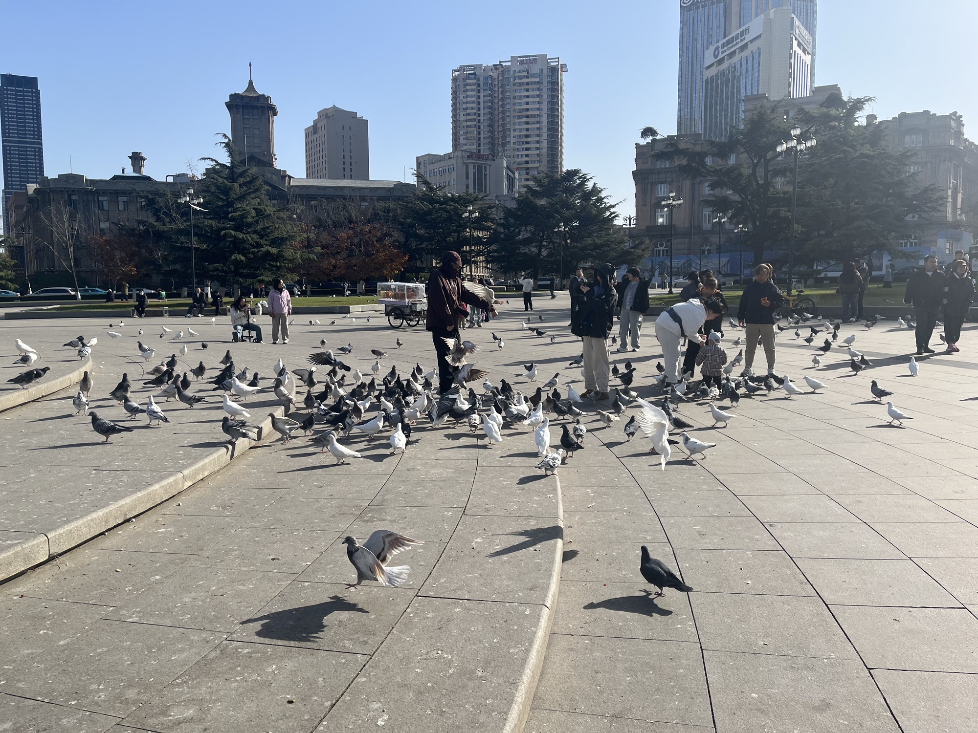中山广场旅行图片