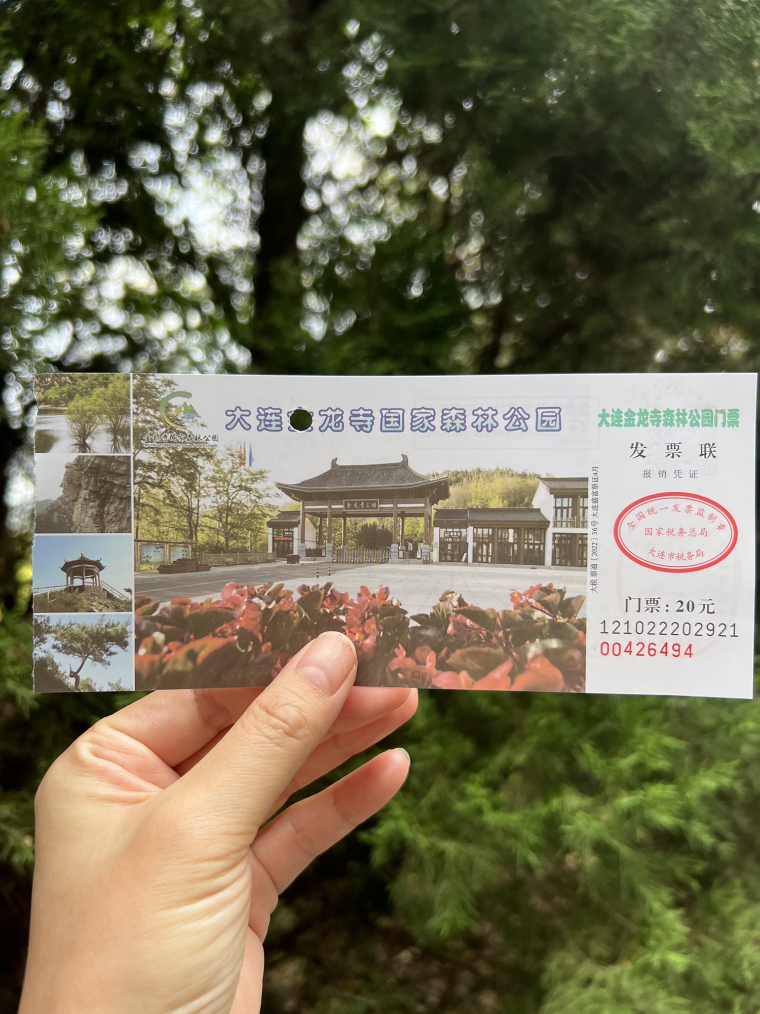 大连金龙寺国家森林公园旅行图片
