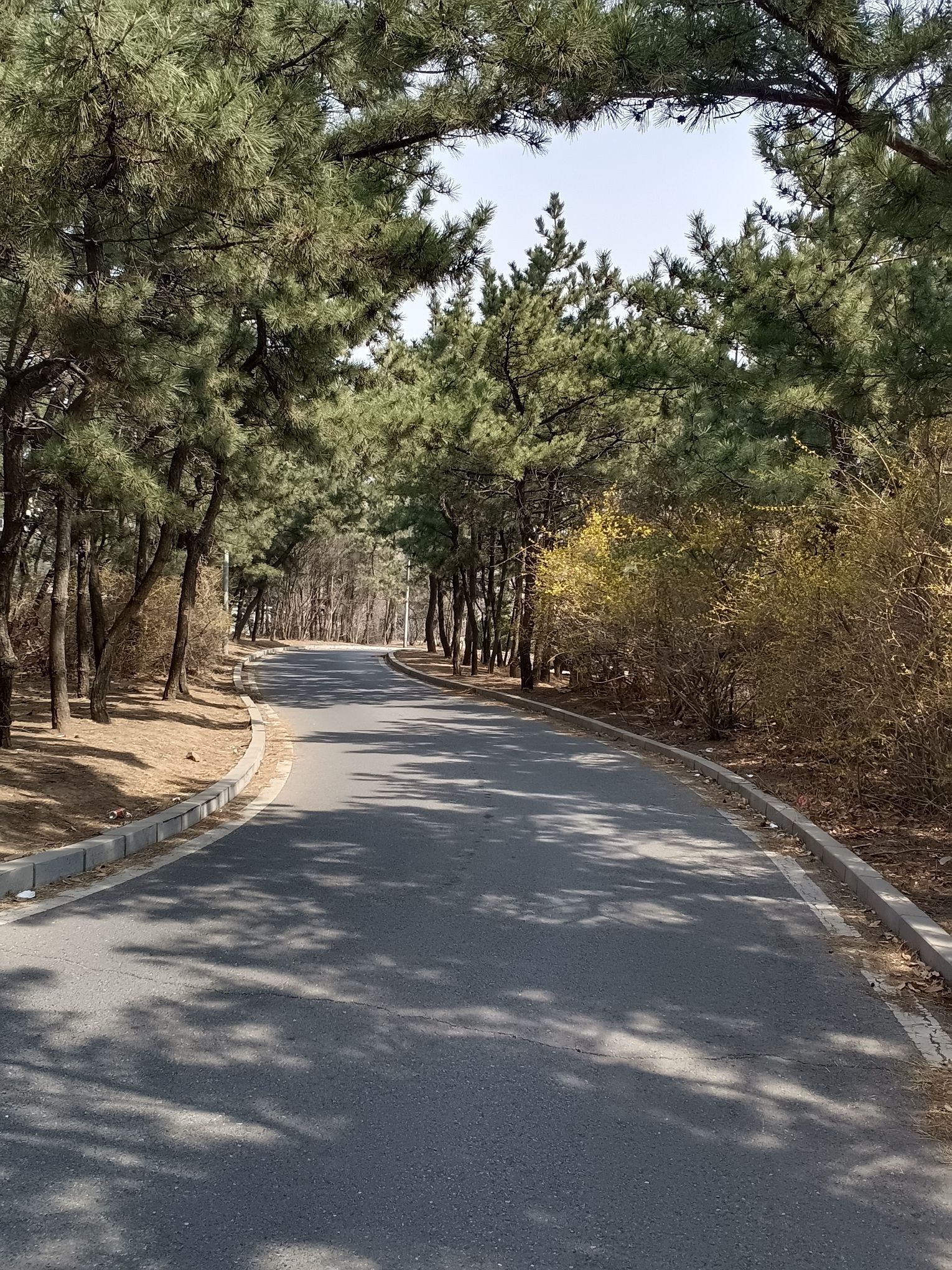 台山今冈公园旅行图片