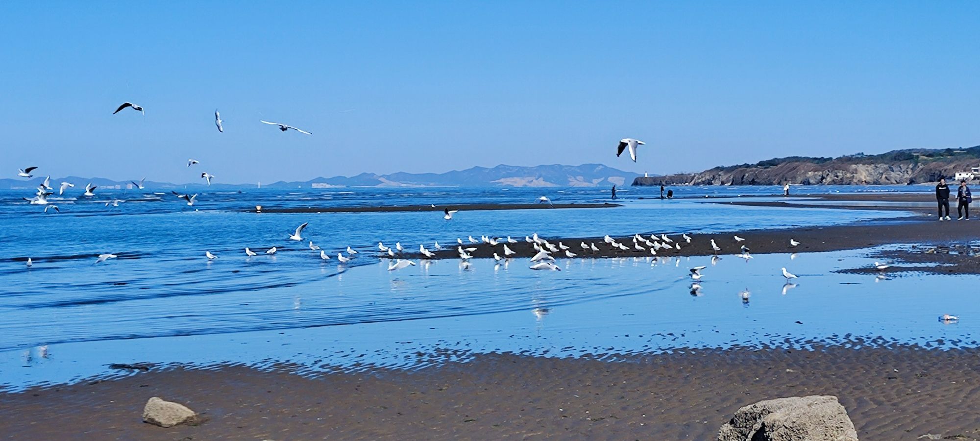 夏家河子海滨景区