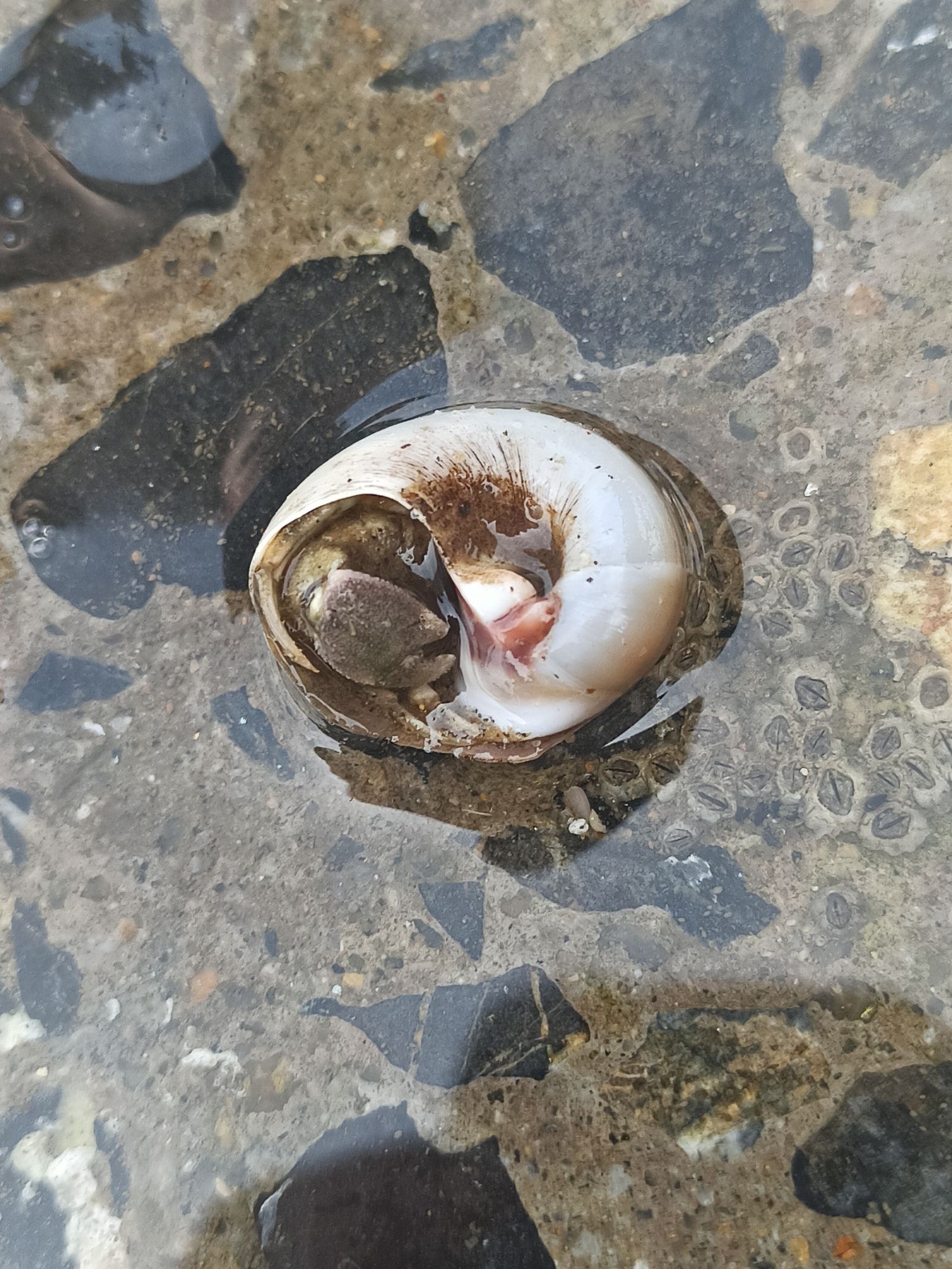 夏家河子海滨景区旅行图片