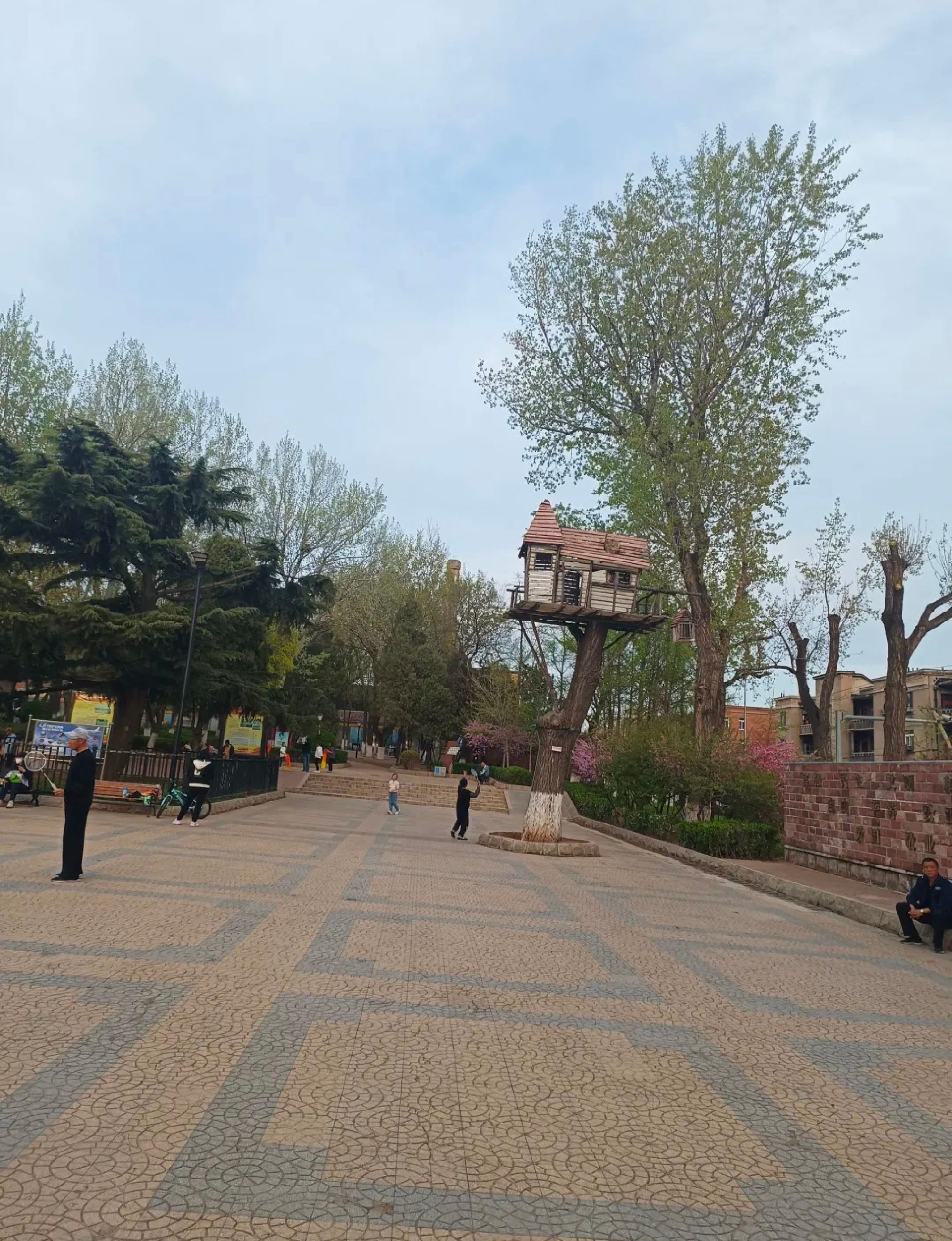 金家街公园旅行图片