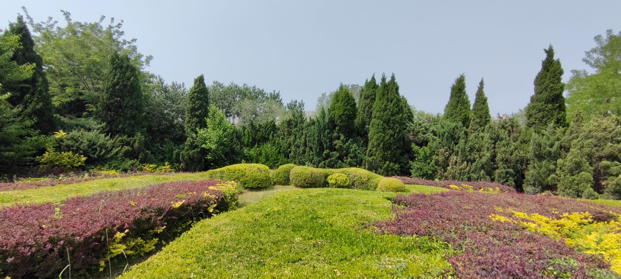 枣园旅行图片