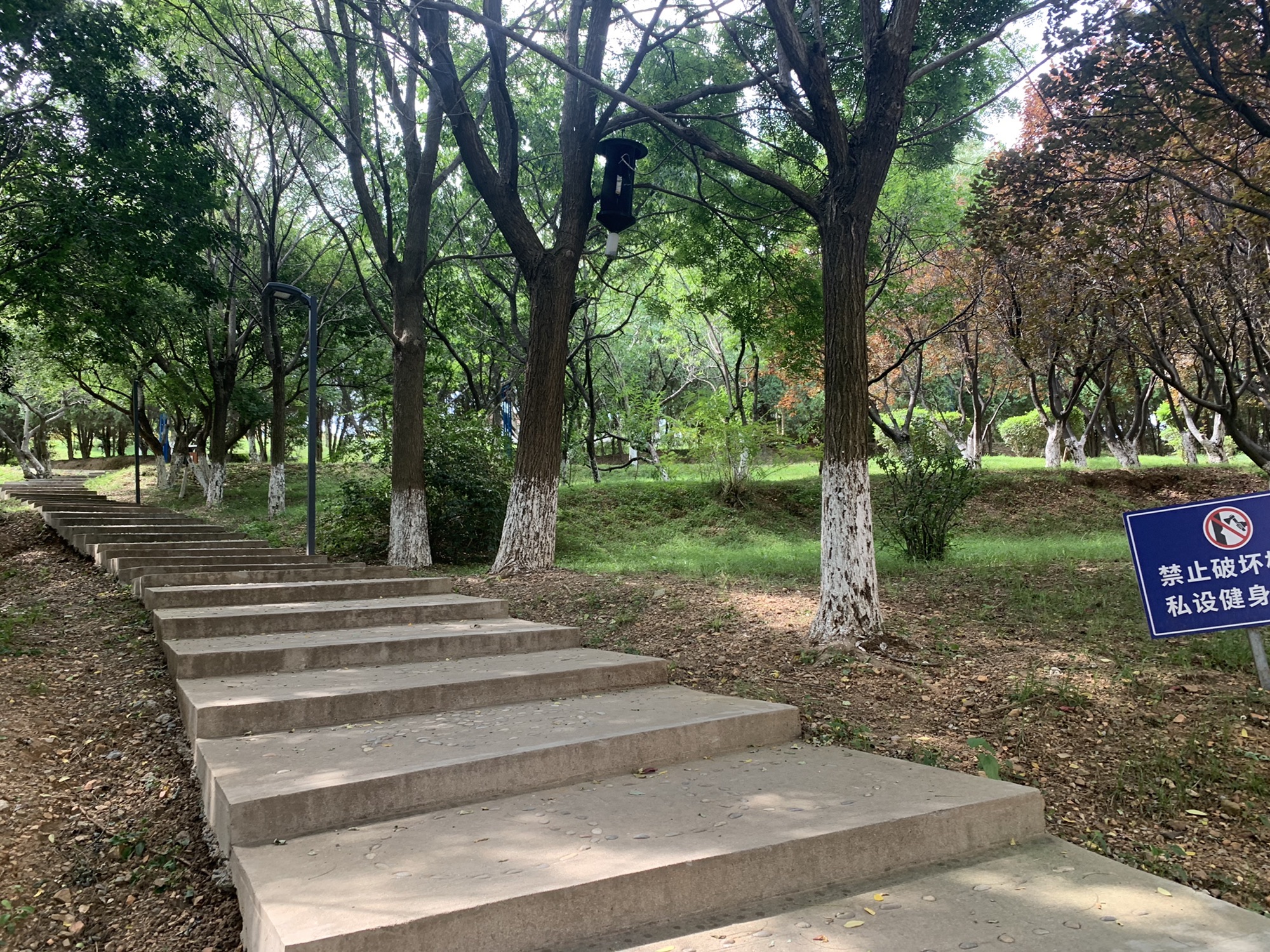 迎春公园