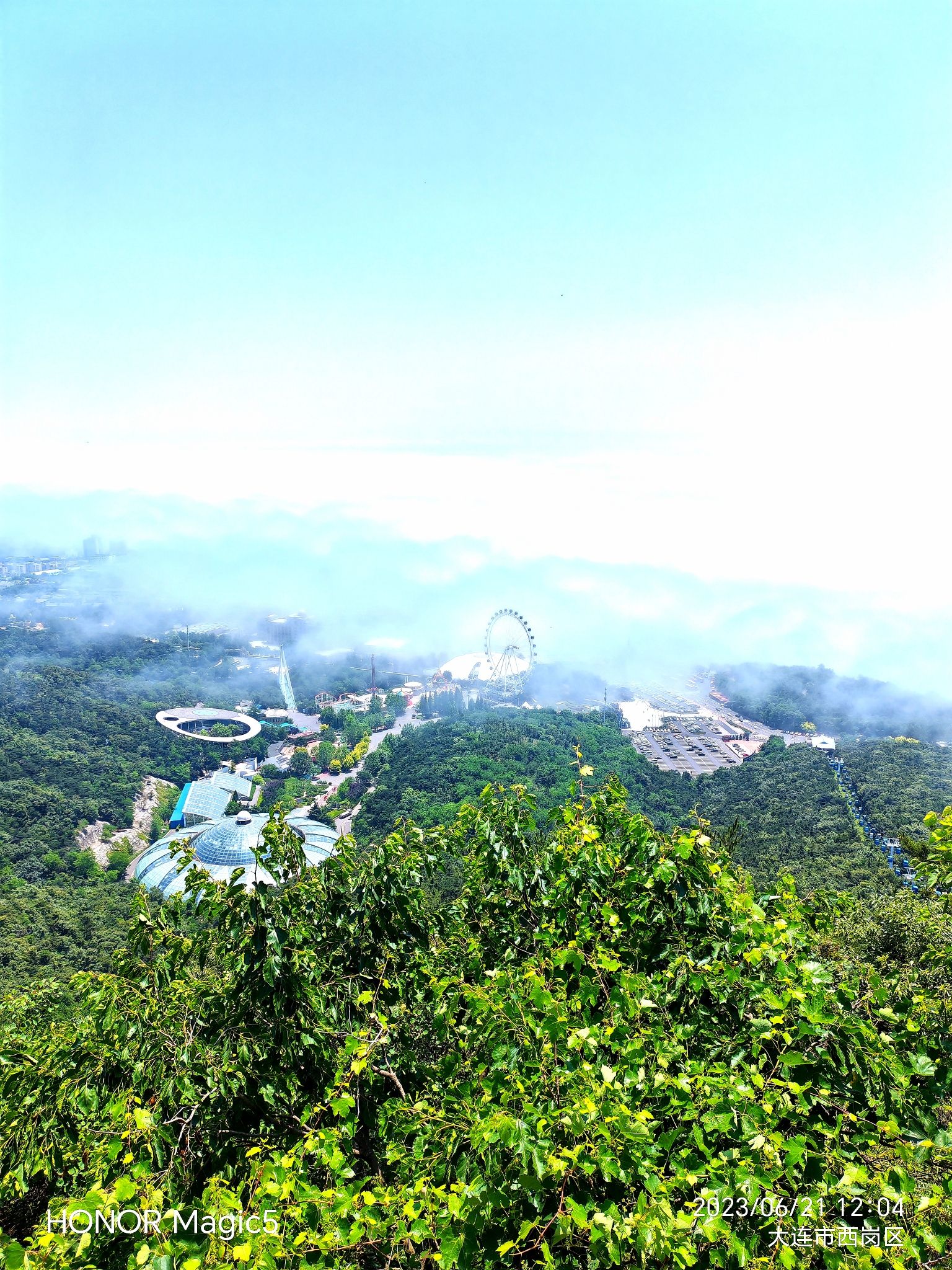 莲花山公园