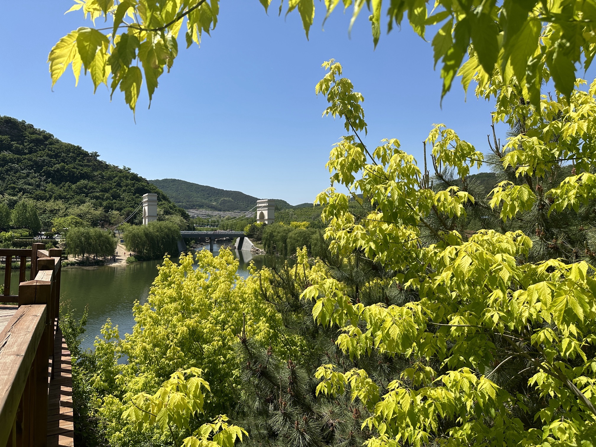 大连西郊国家森林公园旅行图片