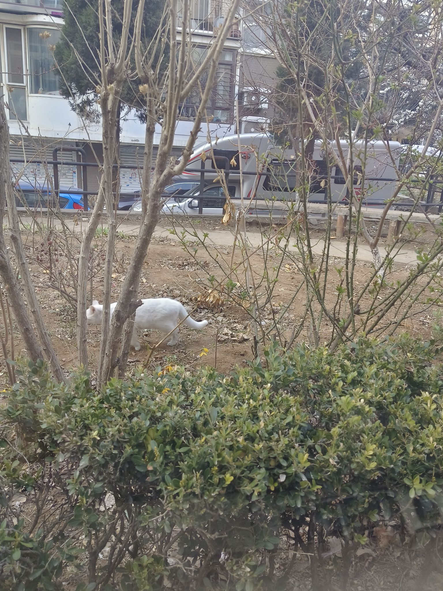鼎山公园旅行图片