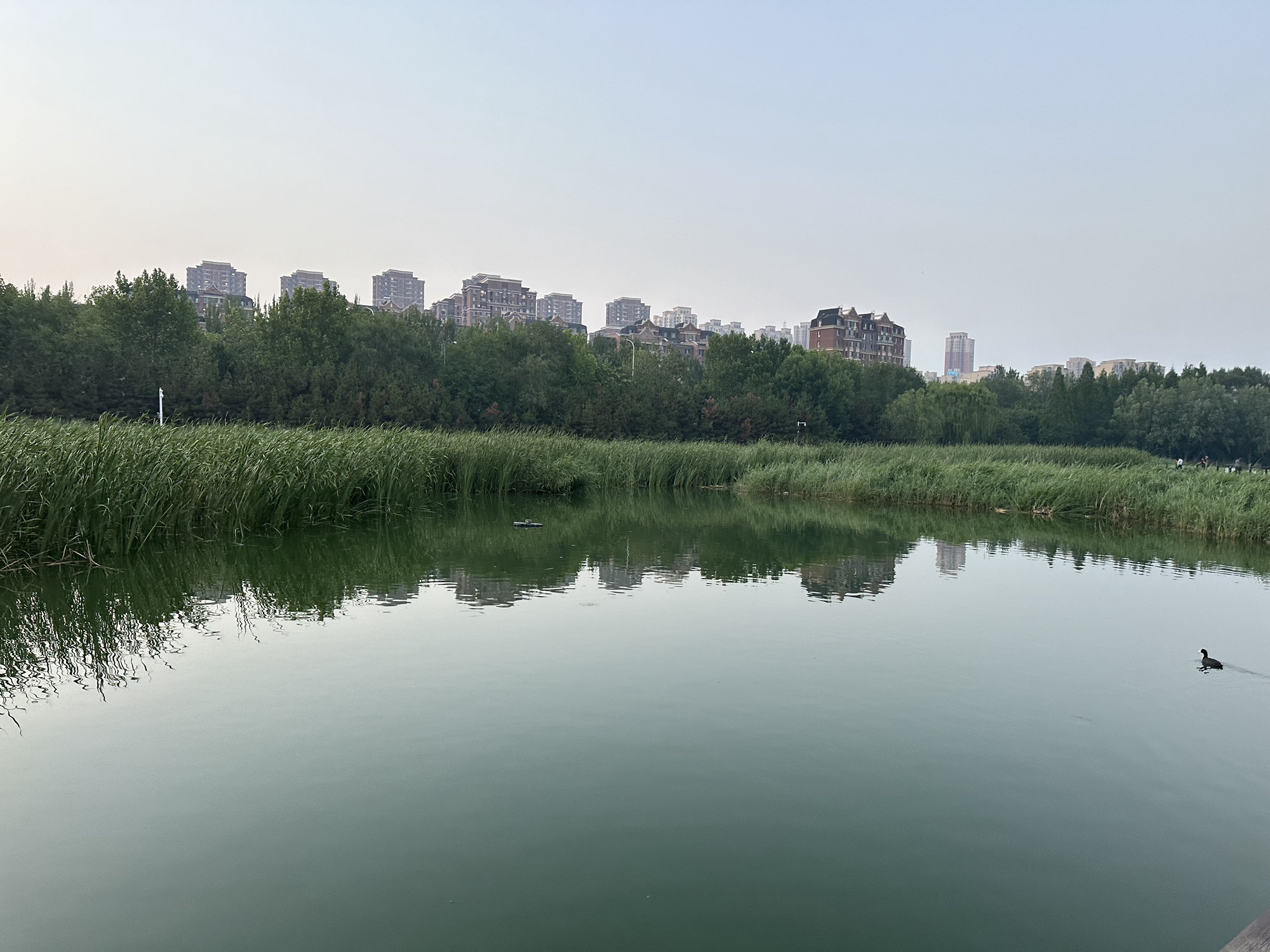 前关城市中央湿地公园