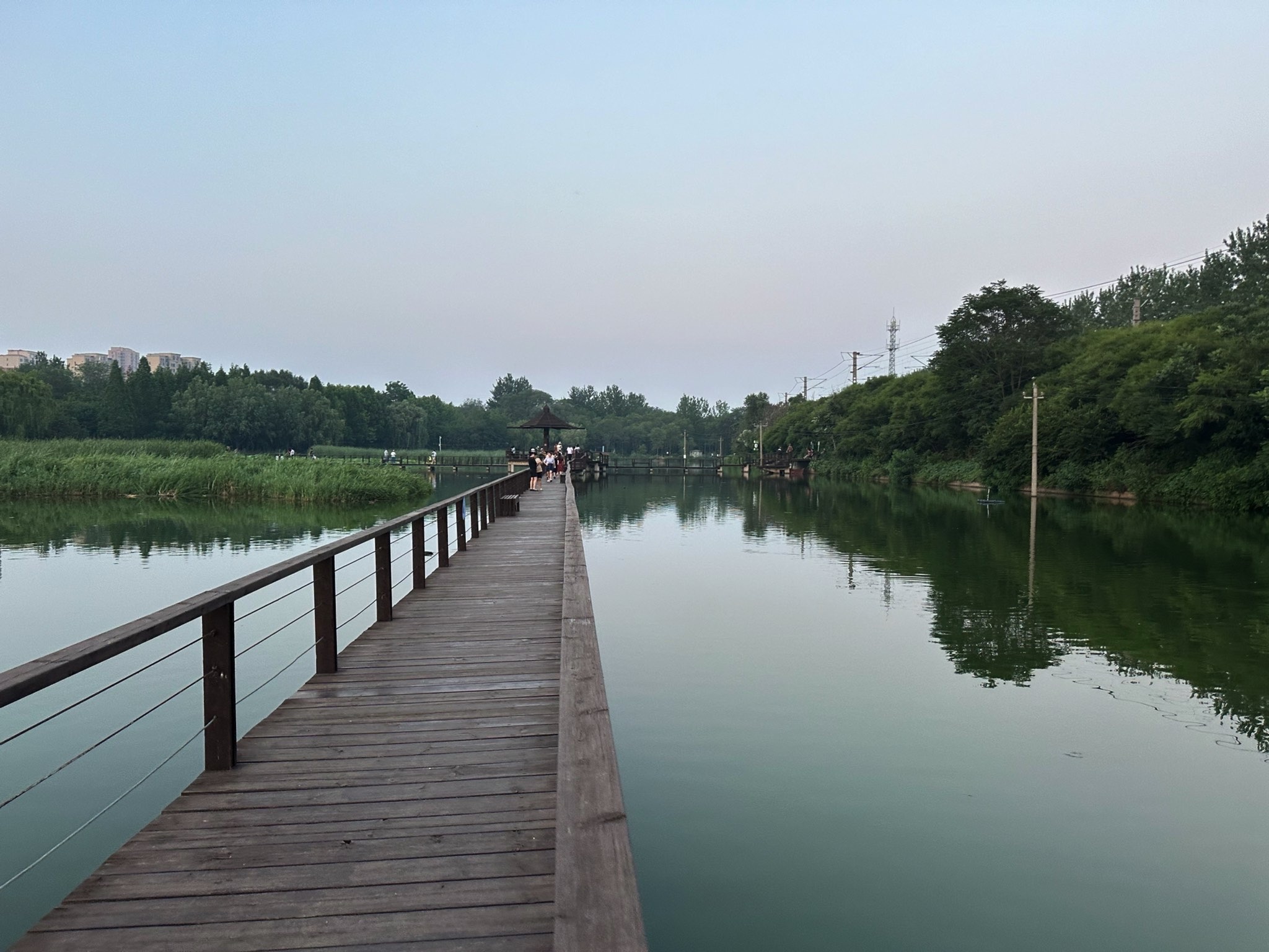前关城市中央湿地公园旅行图片