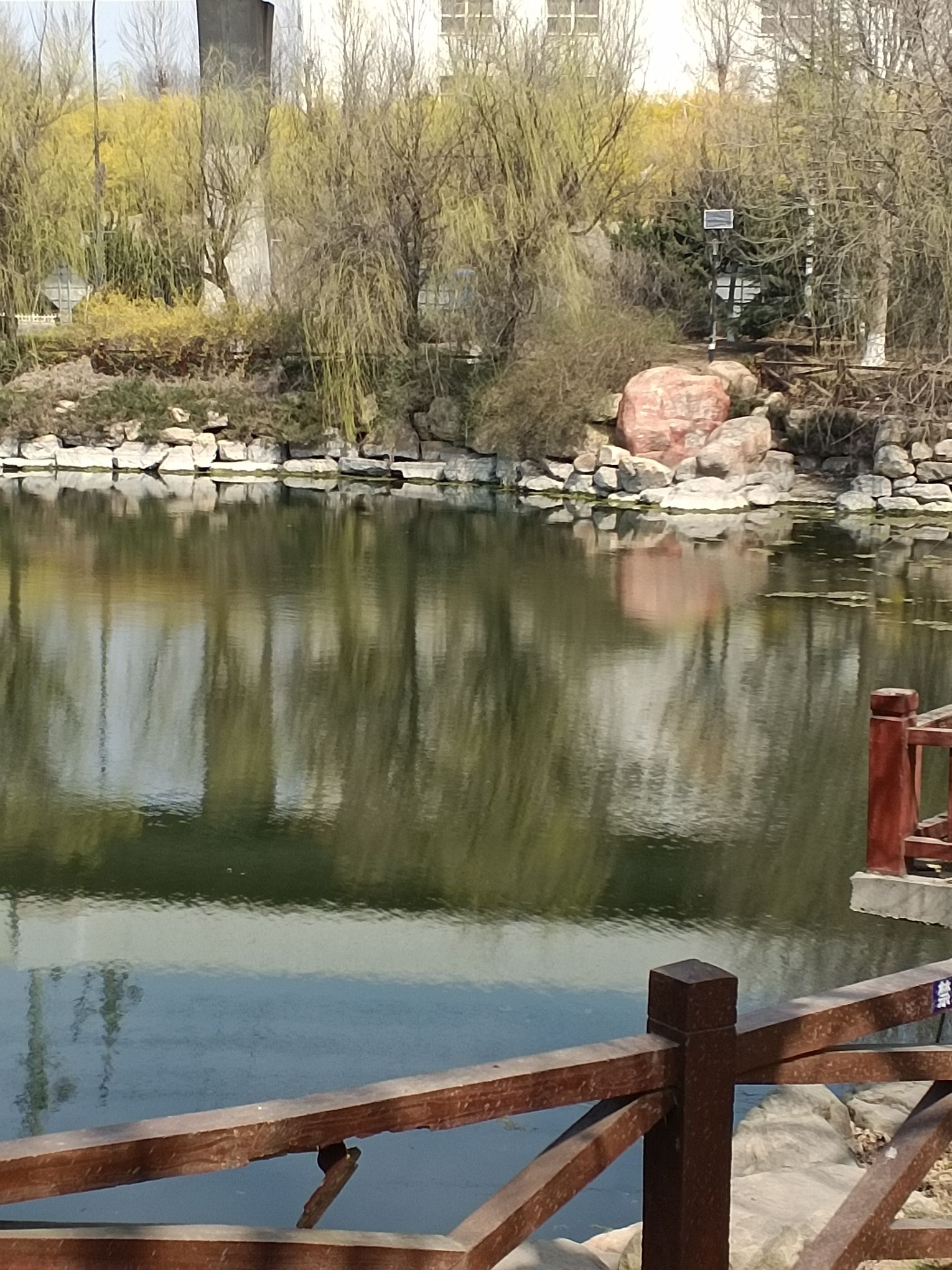 劲旅园