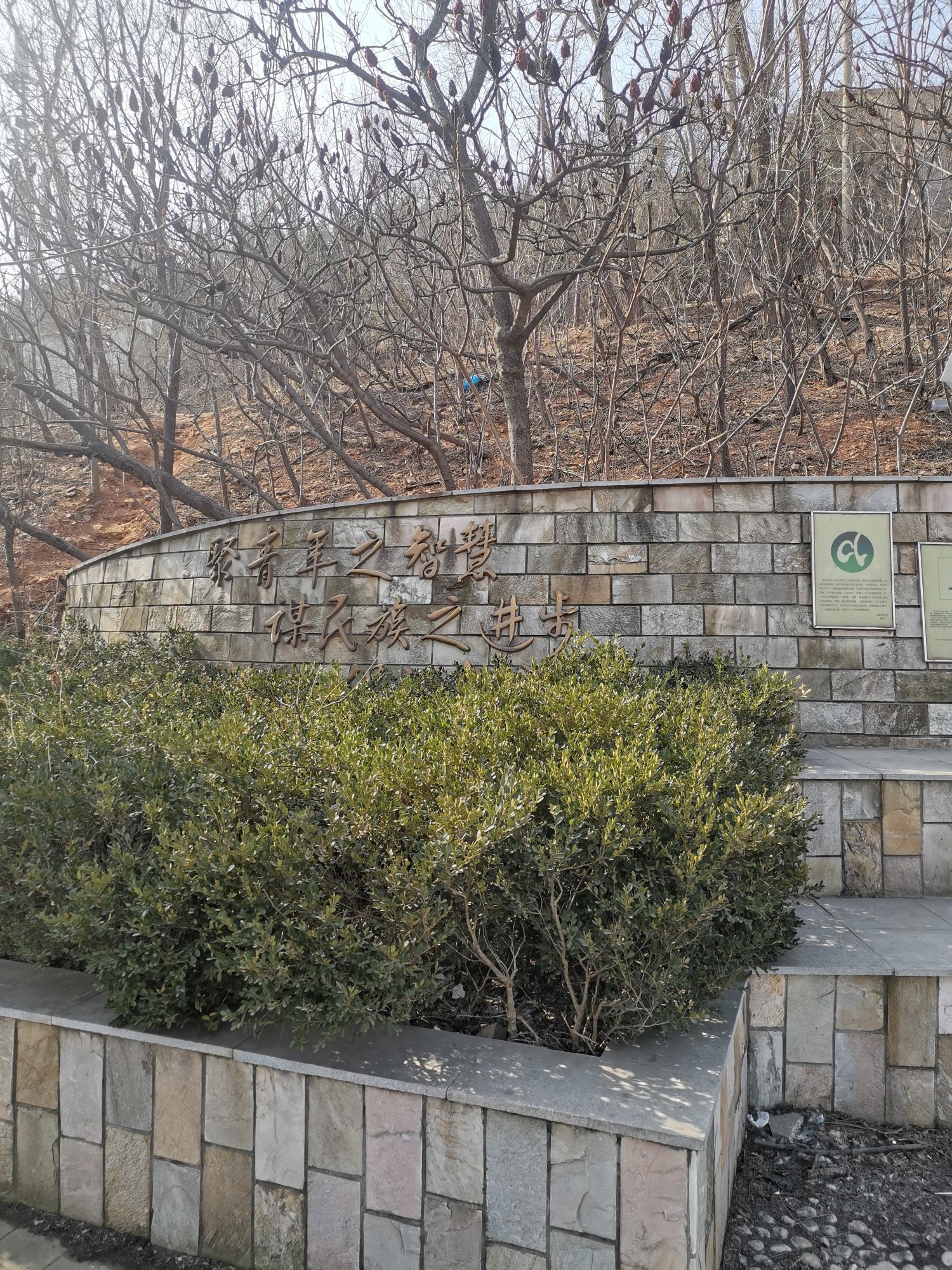 锦云青年公园
