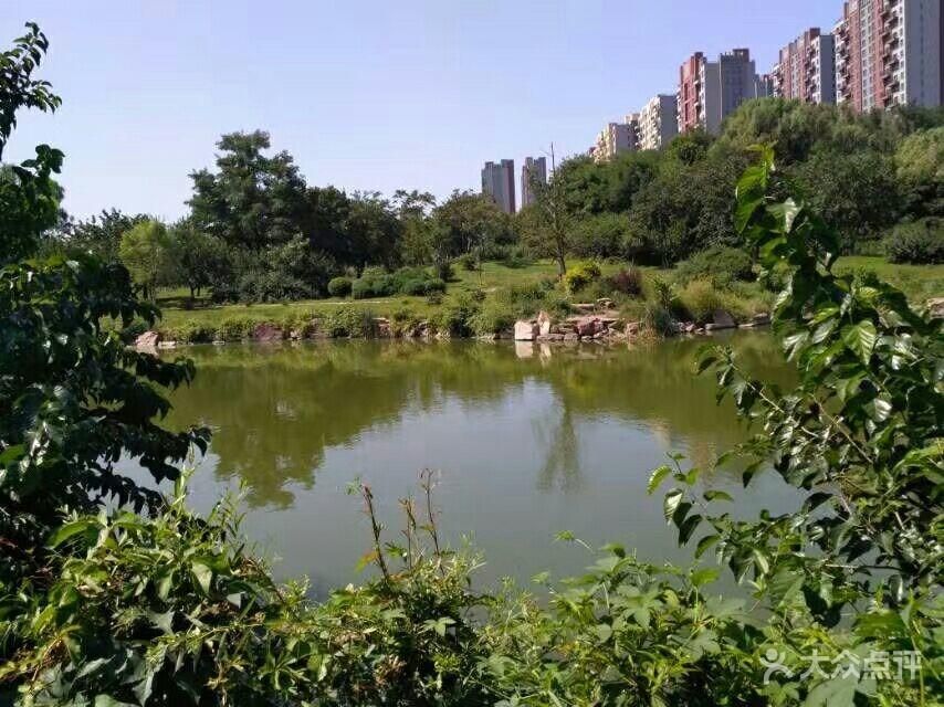 永乐公园旅行图片
