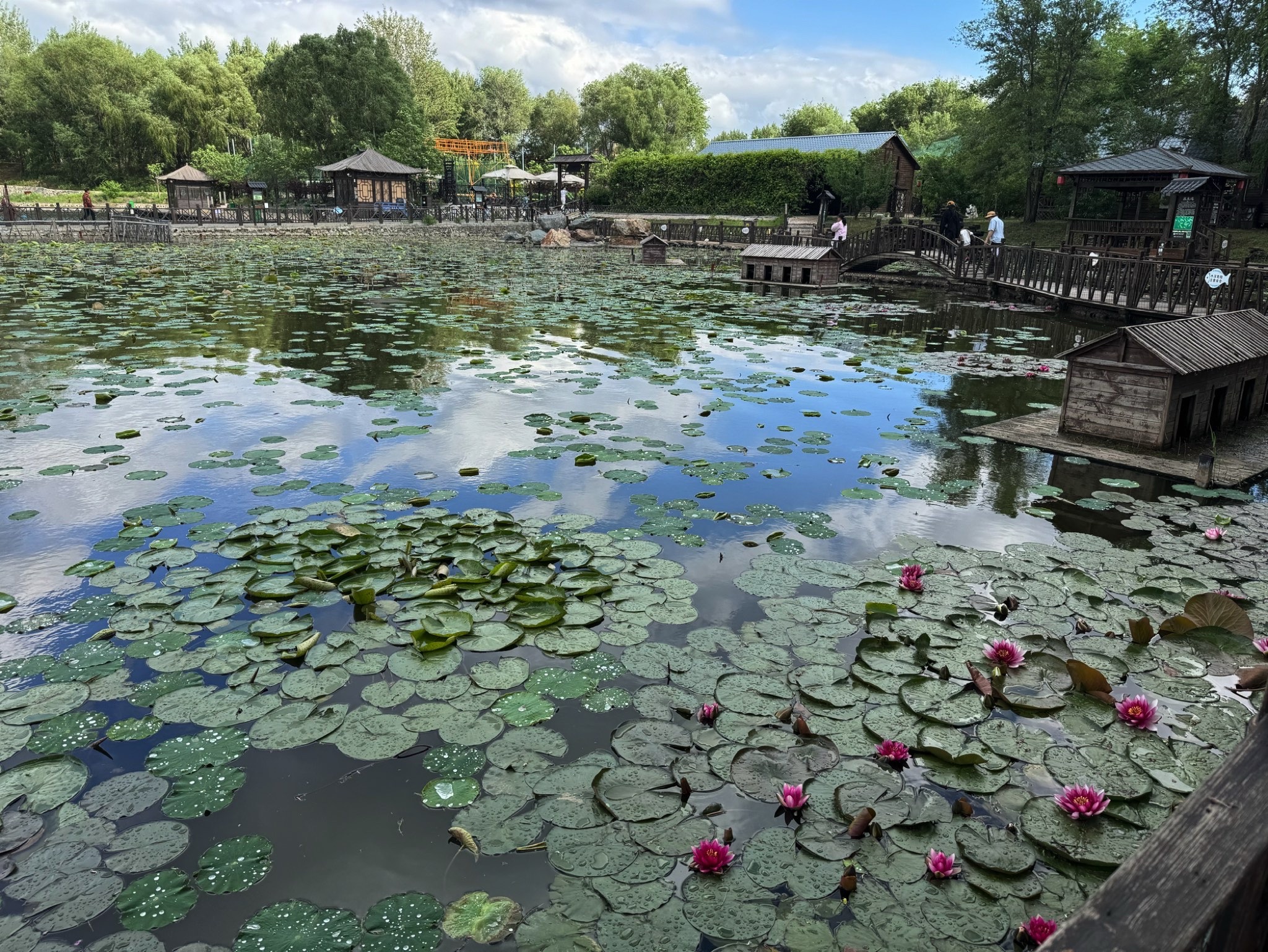 永乐公园旅行图片