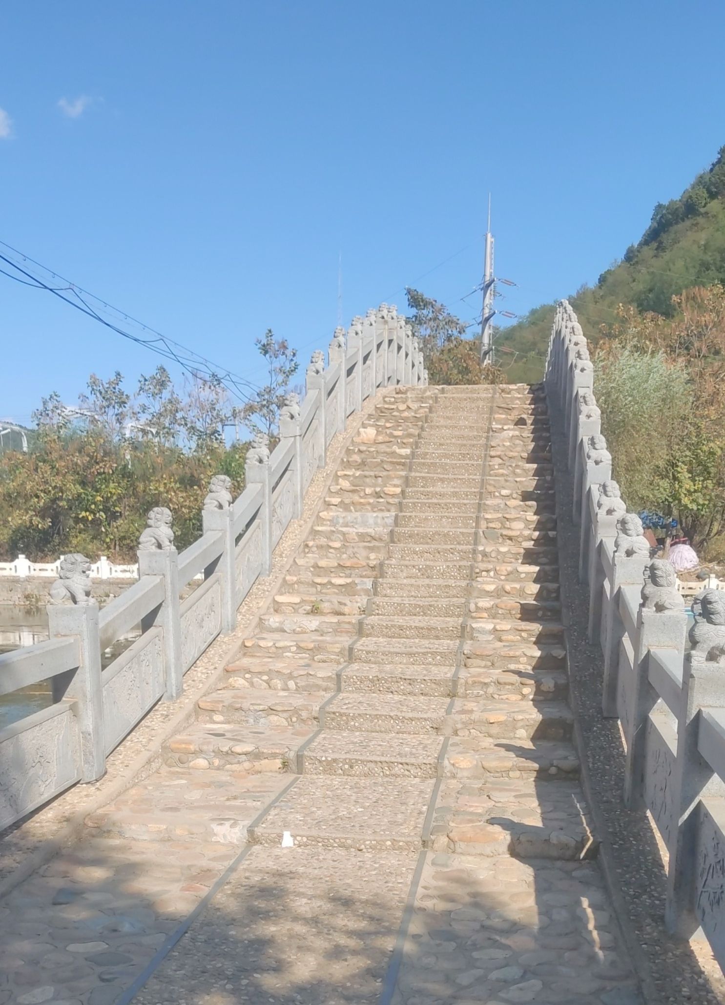 东山公园旅行图片