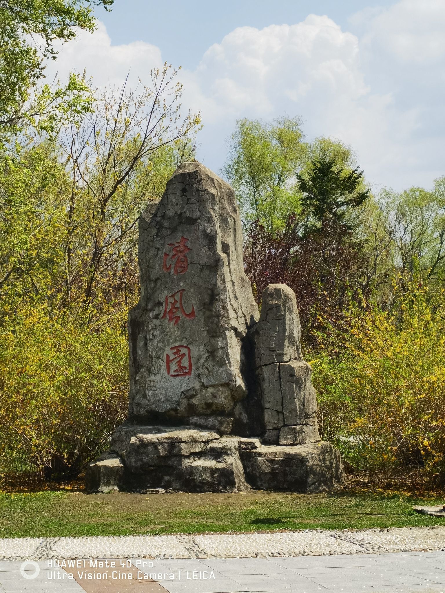 新屯公园旅行图片