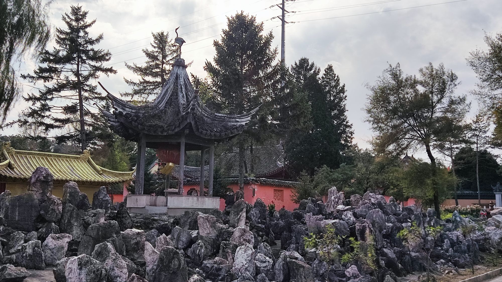 新屯公园旅行图片