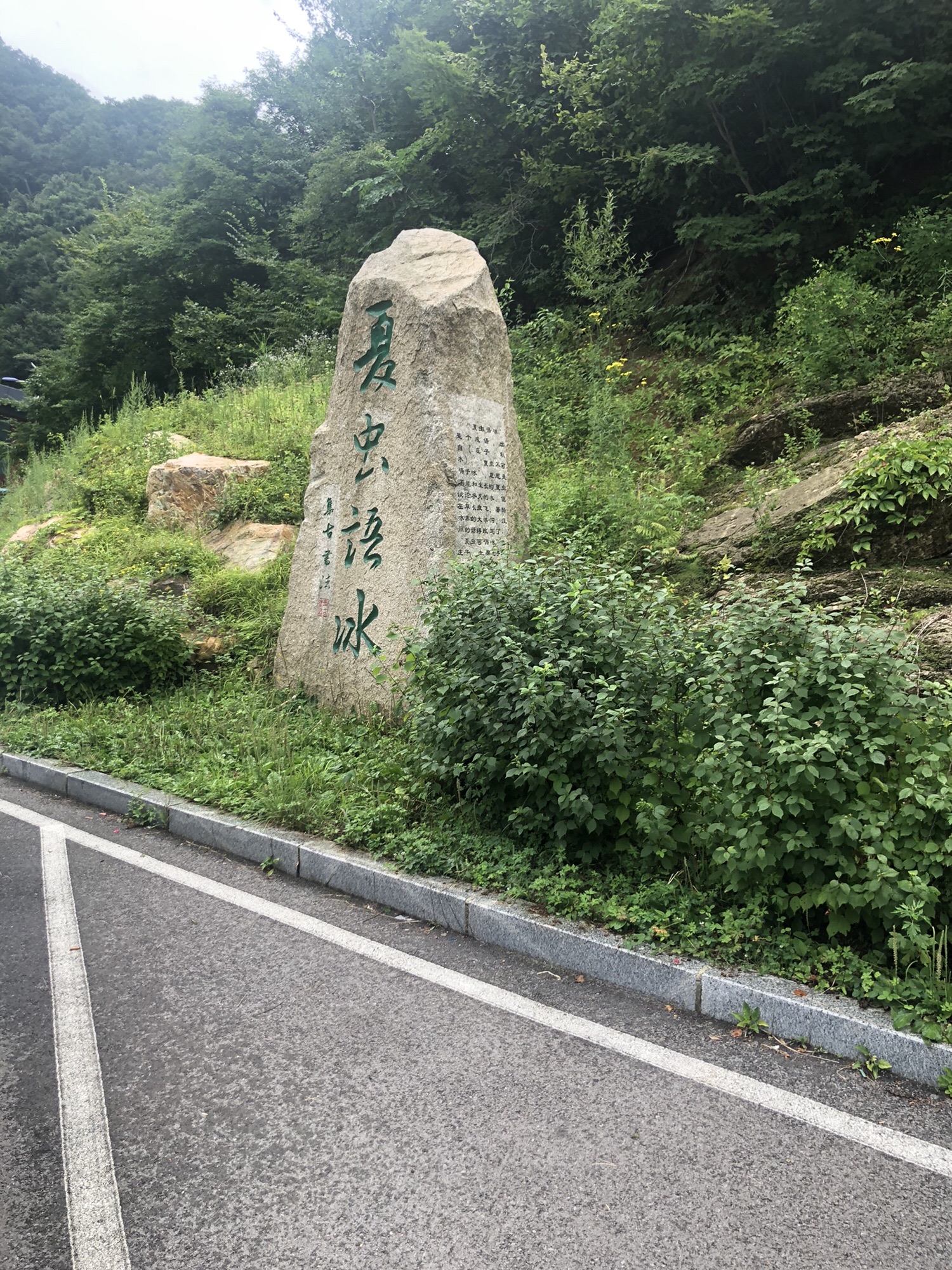 大冰沟国家地质森林公园旅行图片