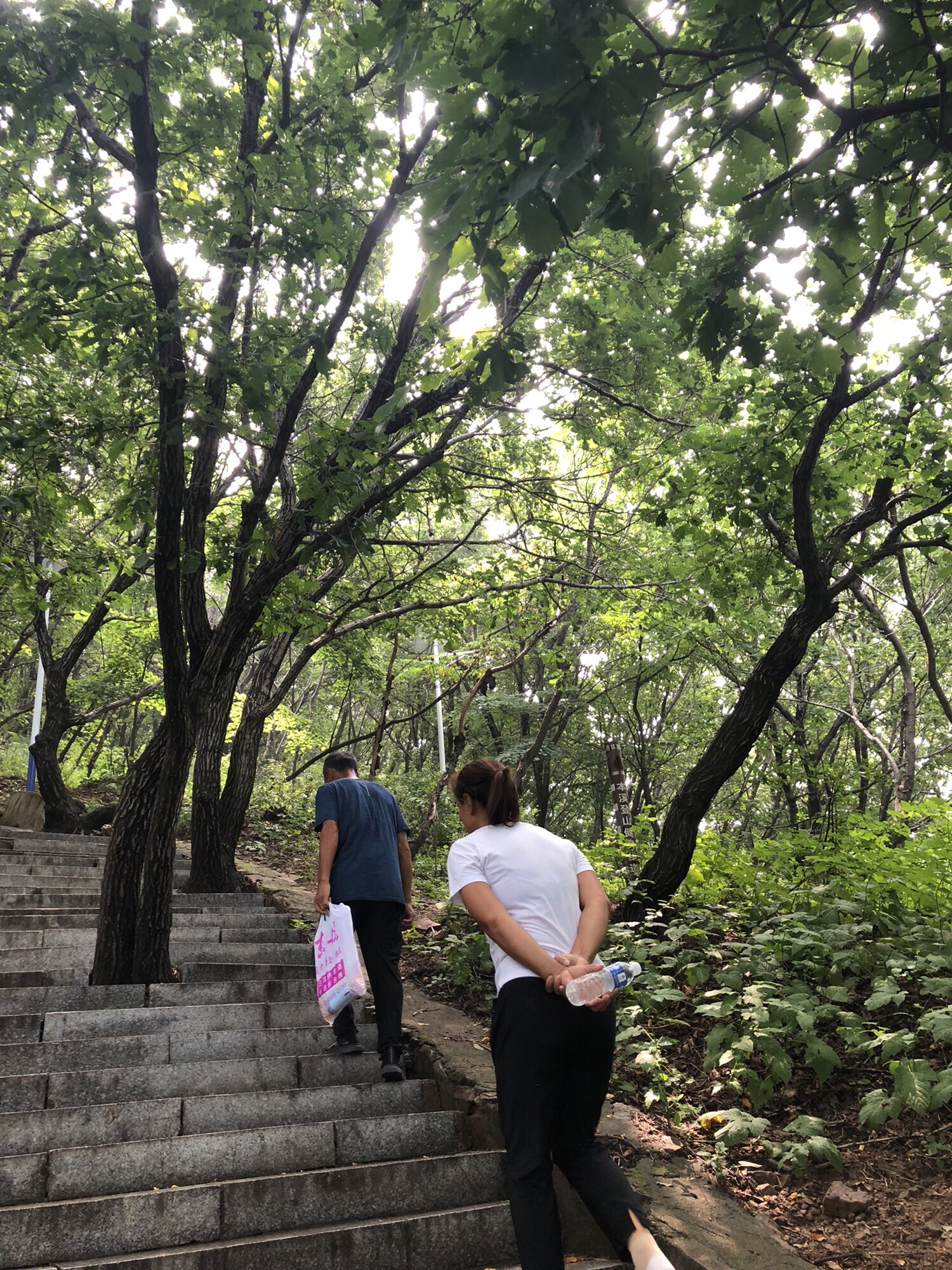 高峪山公园旅行图片