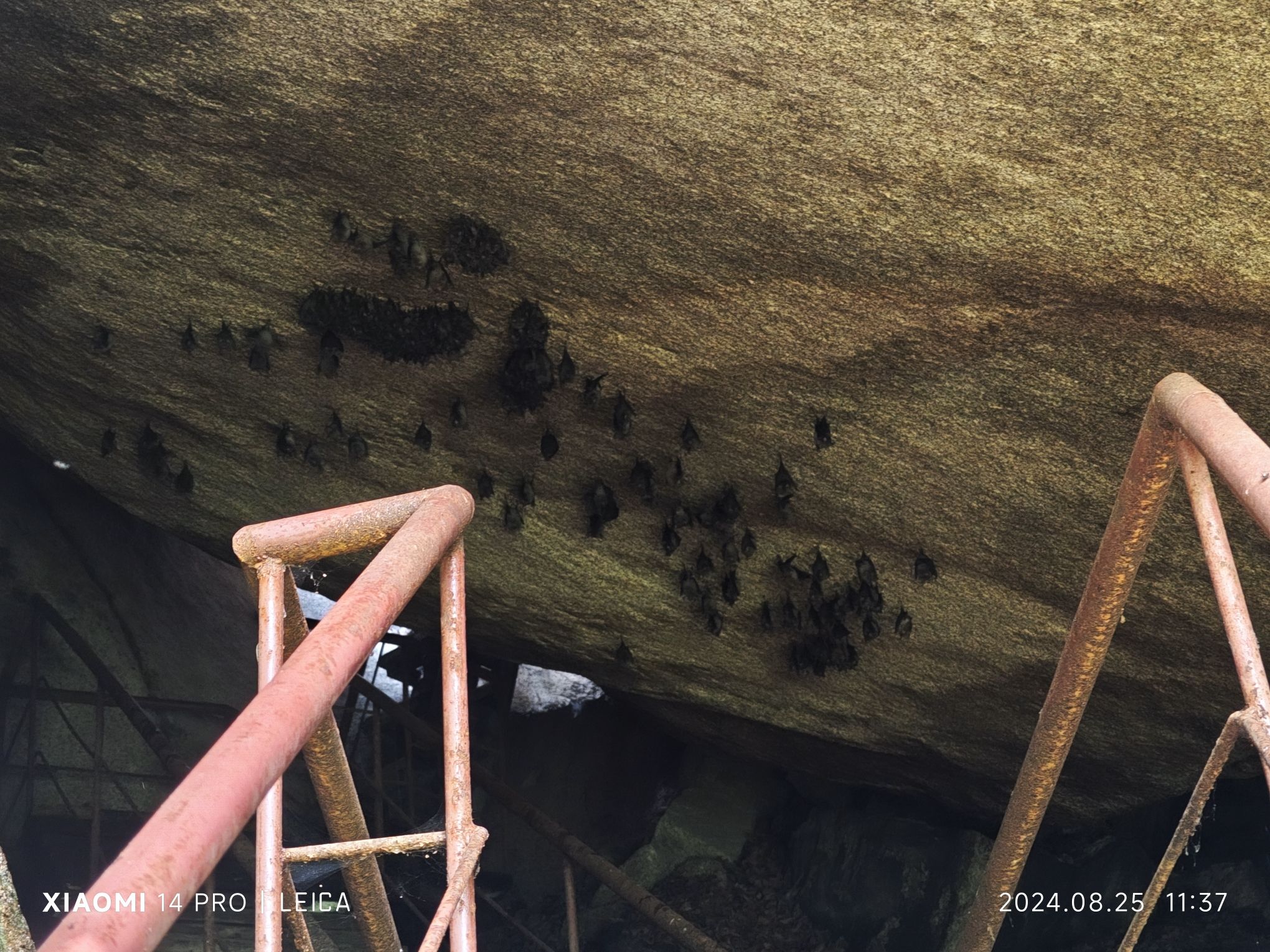 丹东天桥沟景区旅行图片