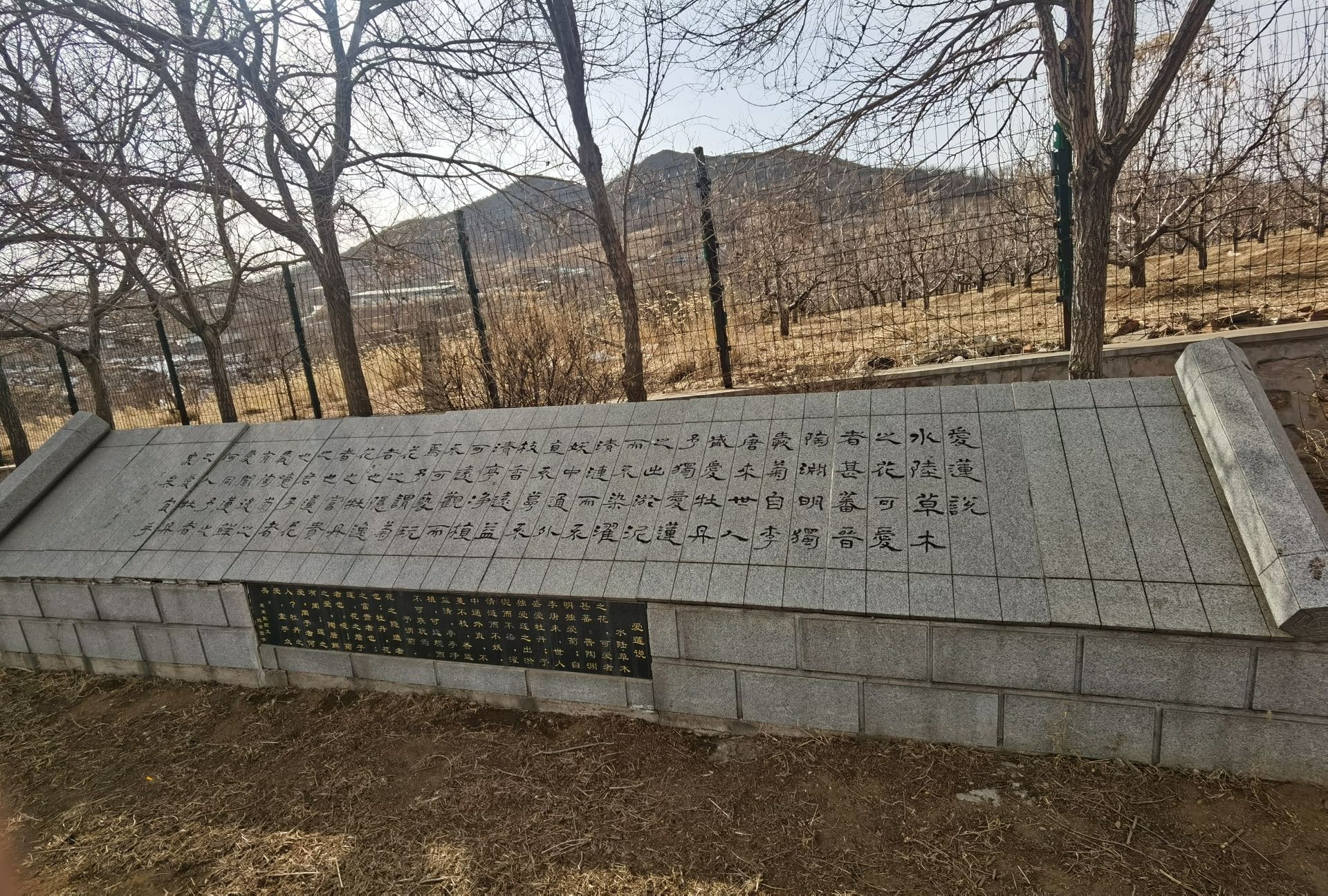 锦州苹果廉政文化广场旅行图片