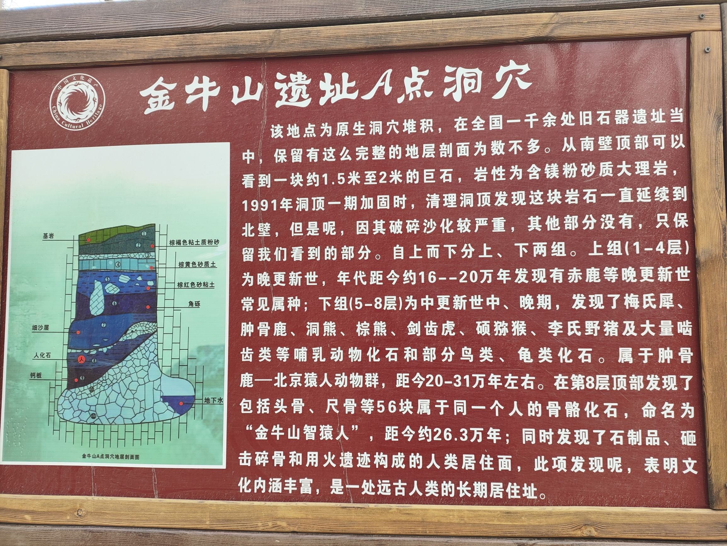 金牛山遗址