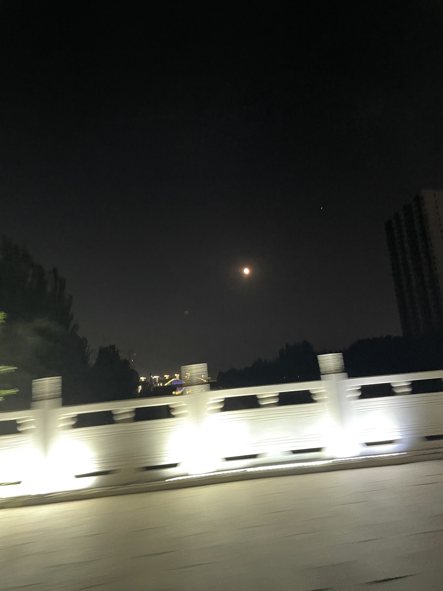 镜湖公园旅行图片