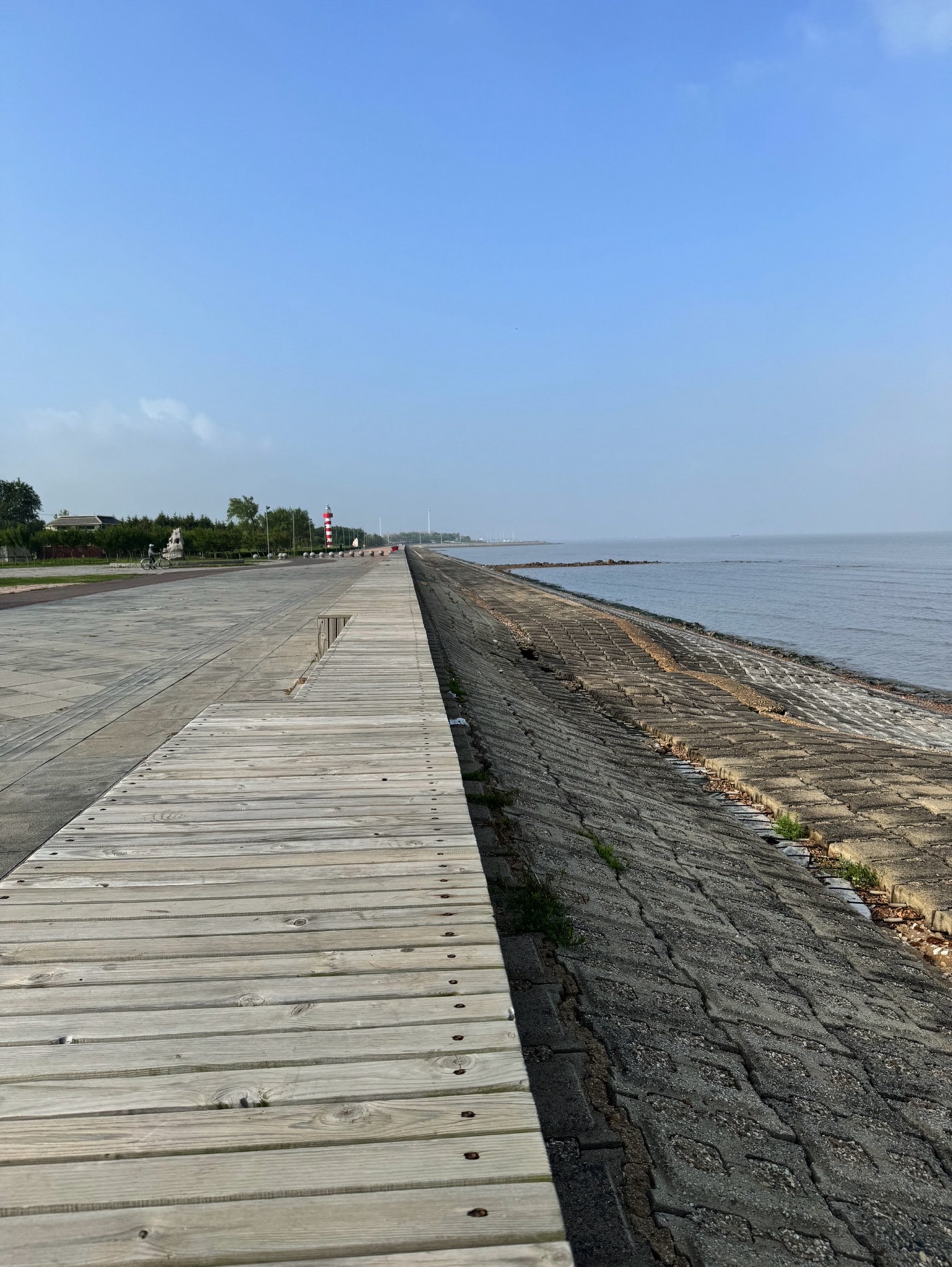海螺广场旅行图片