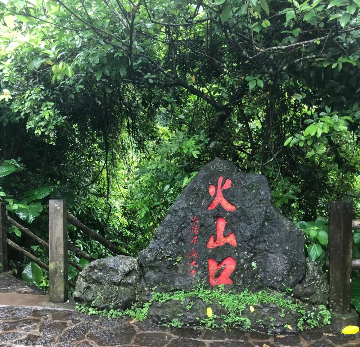 火山公园旅行图片