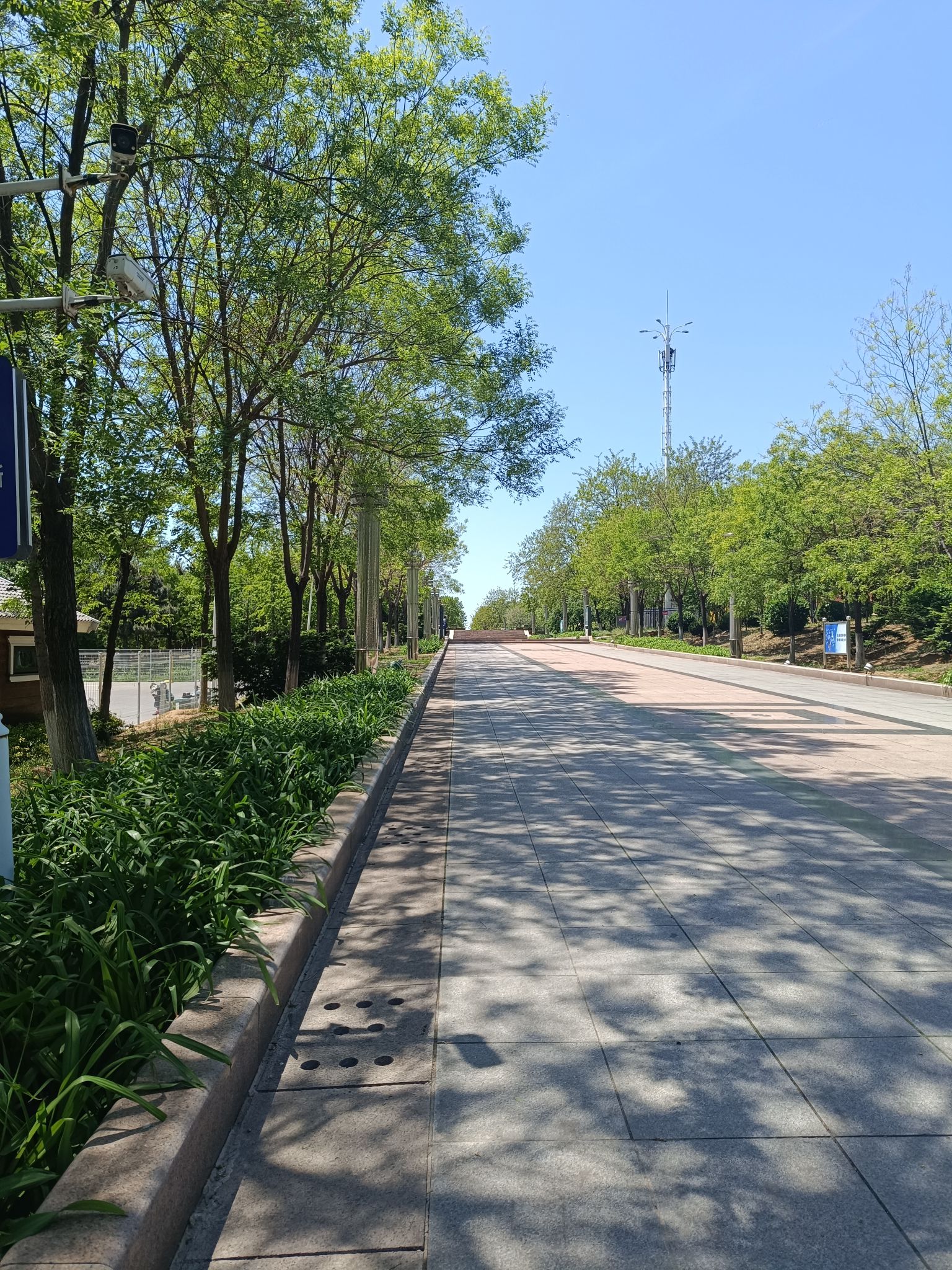碧霞山公园旅行图片