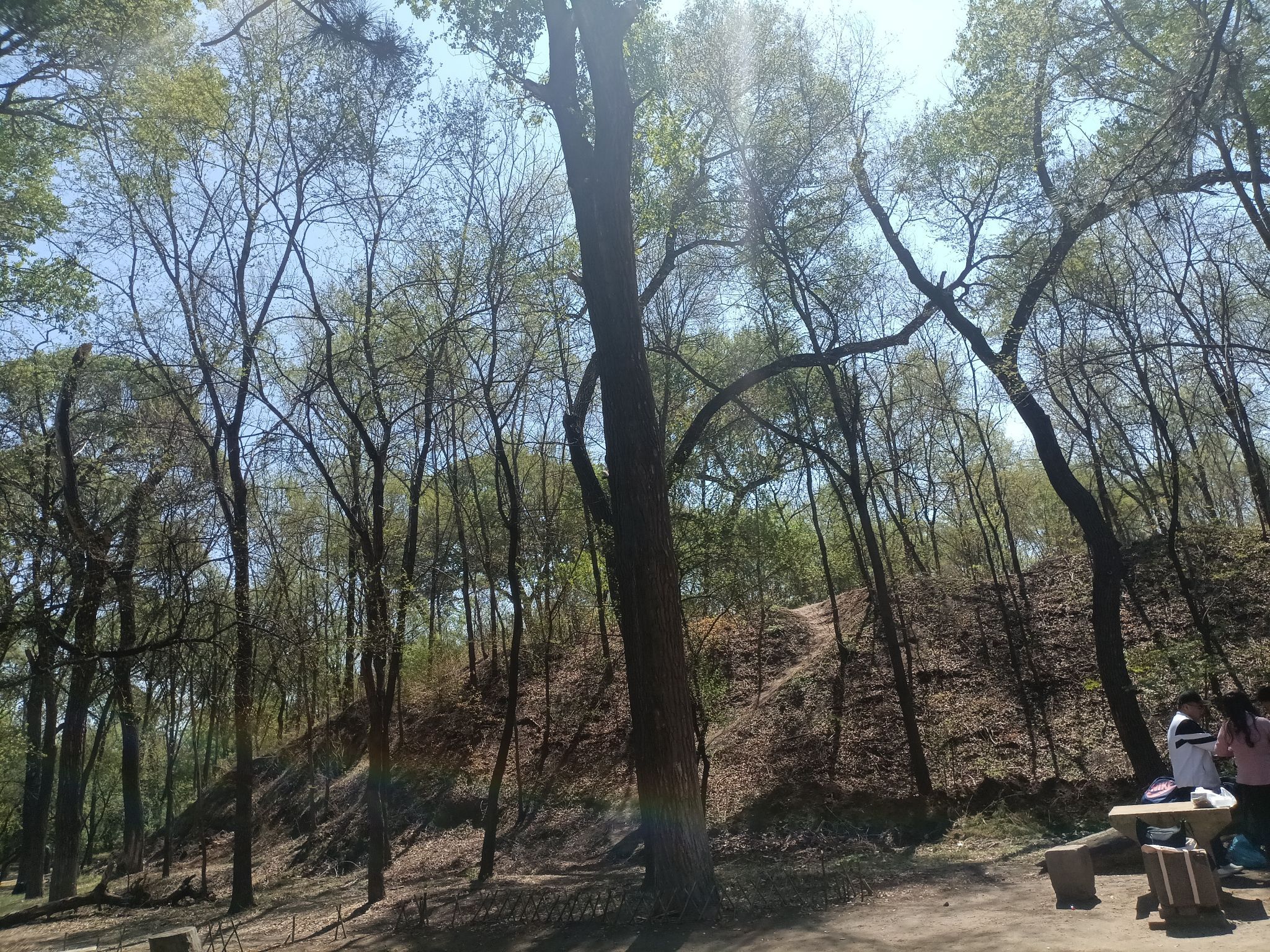 三一八公园旅行图片