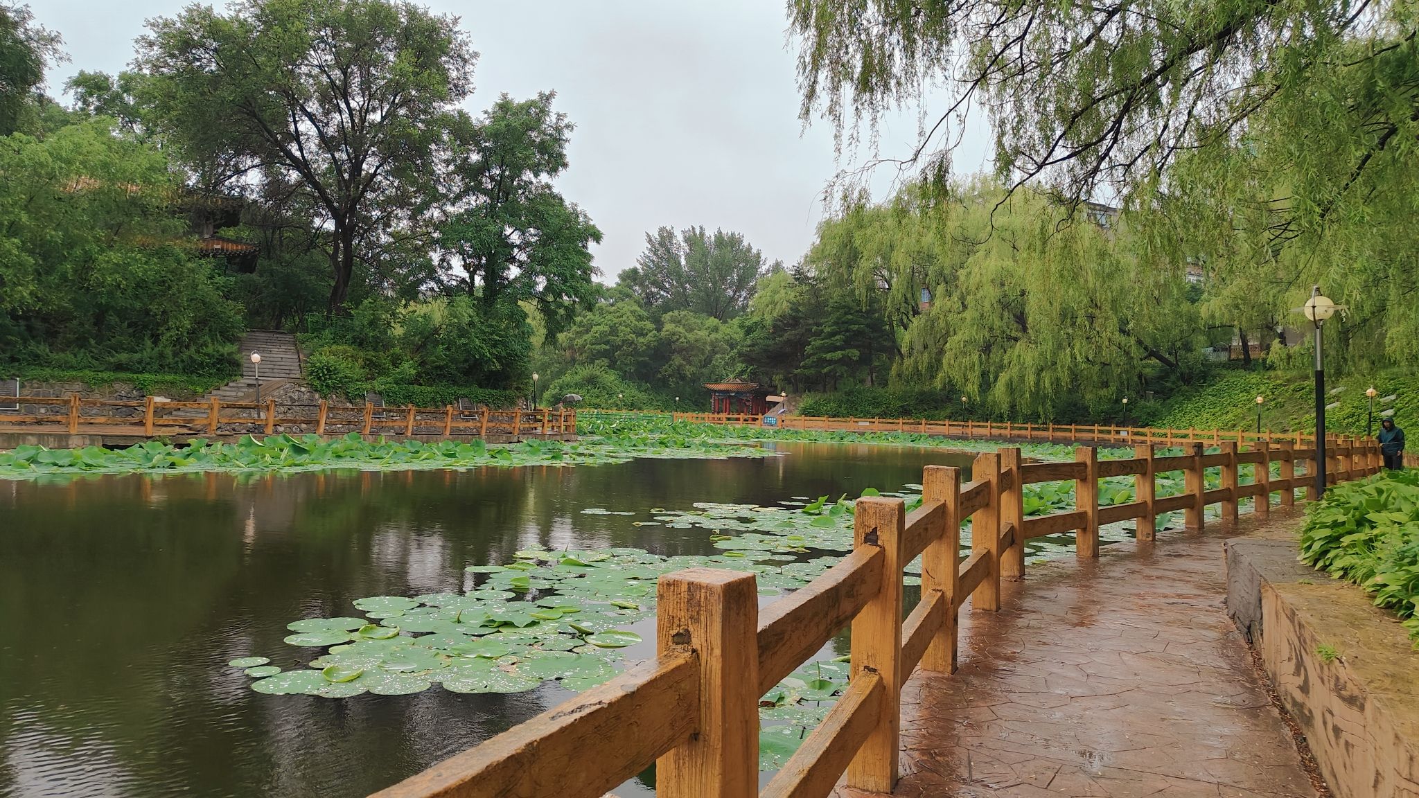 荟萃湖旅行图片