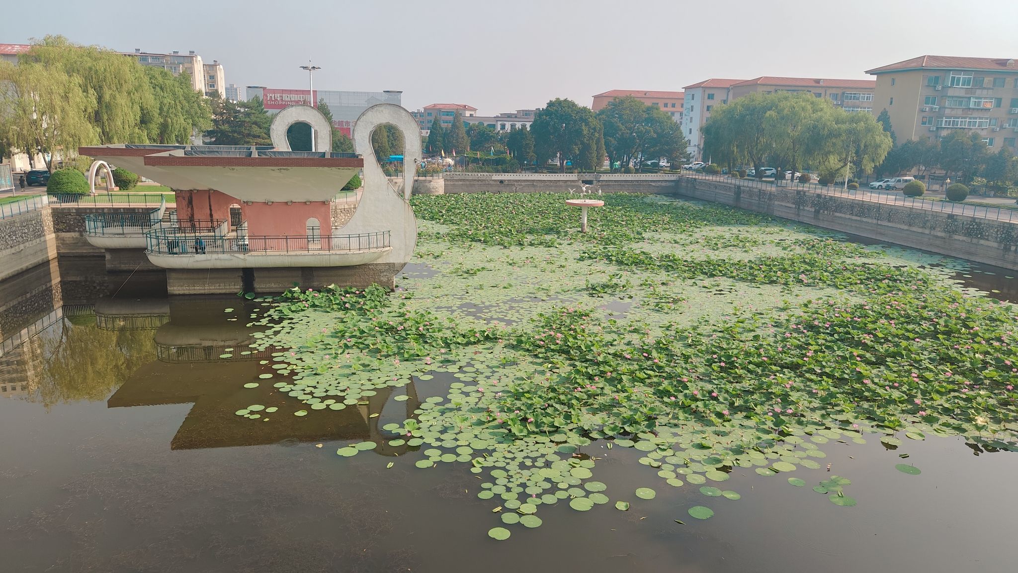 仙鹤湖文化广场旅行图片
