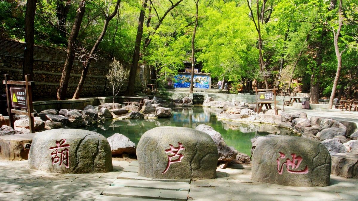 槐树洞旅行图片