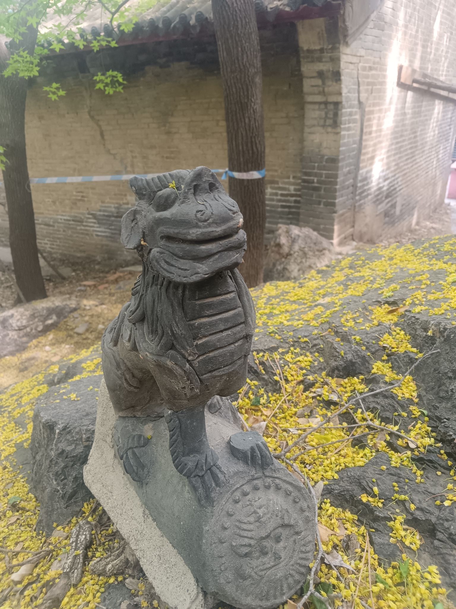 槐树洞旅行图片