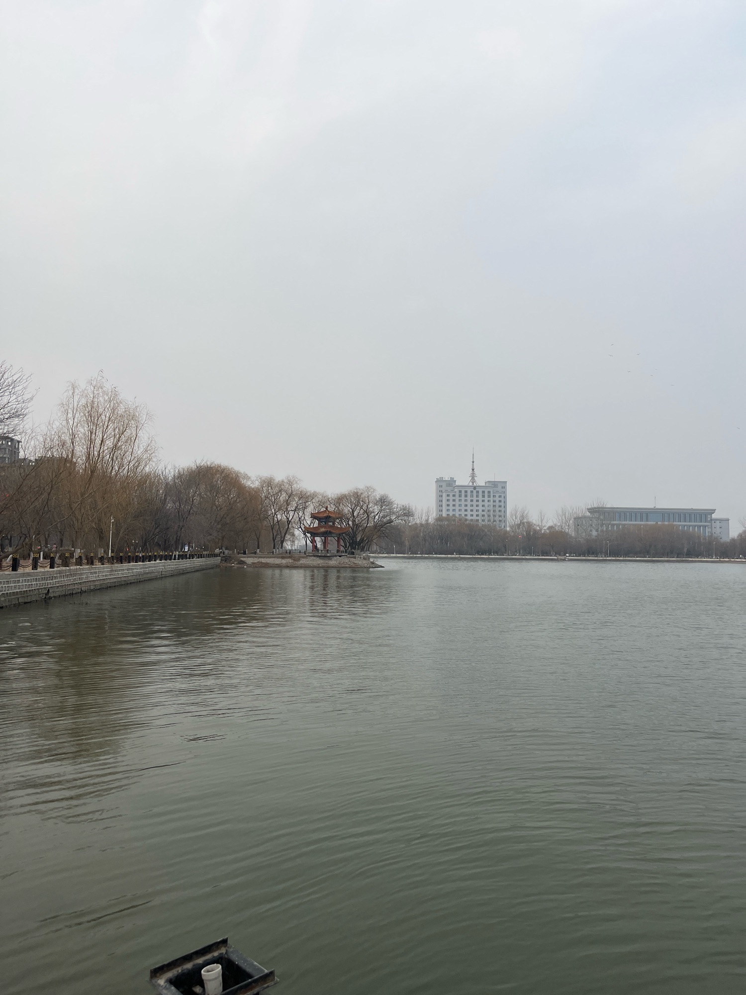 东湖公园旅行图片